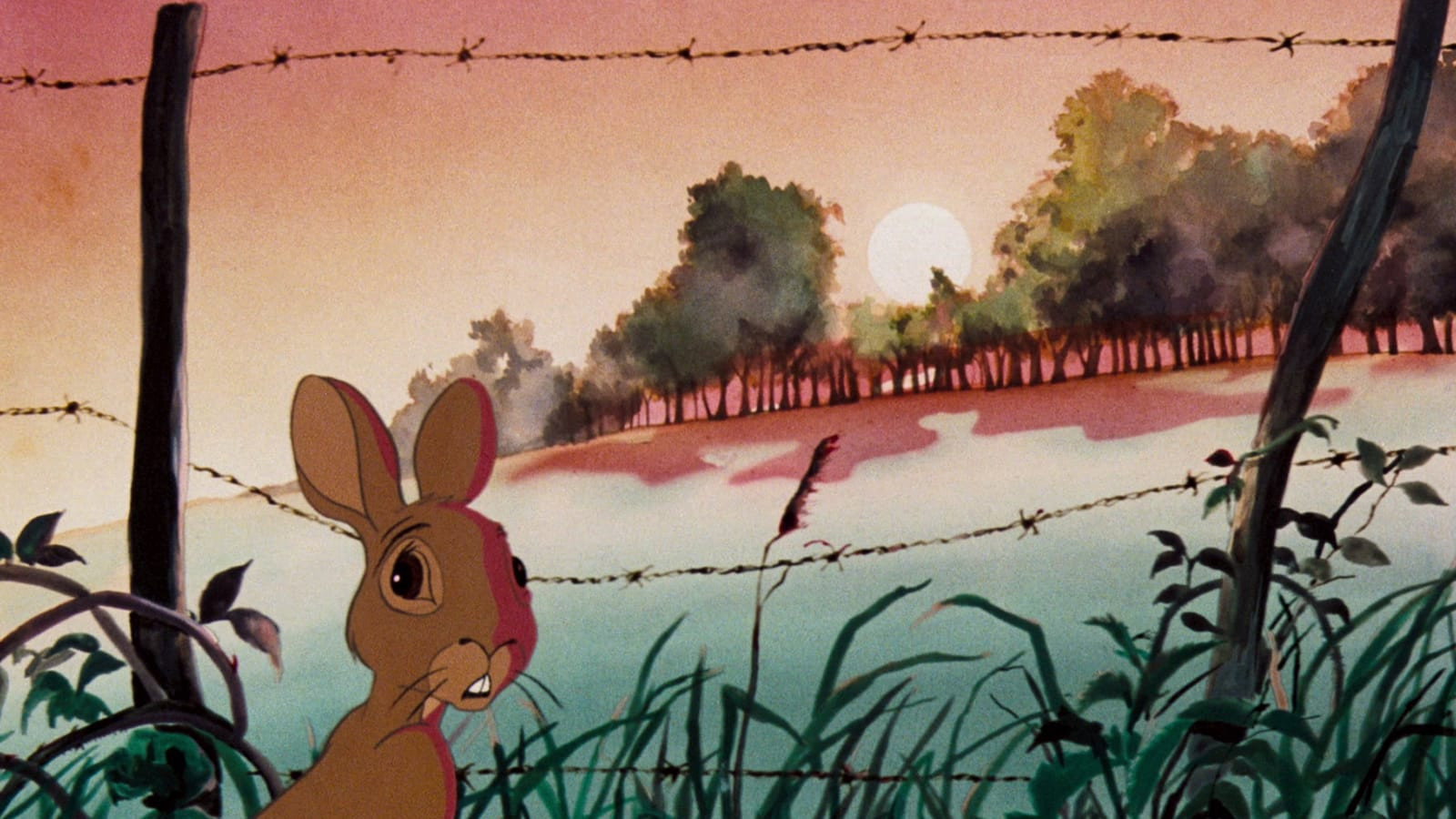 Watership Down Background