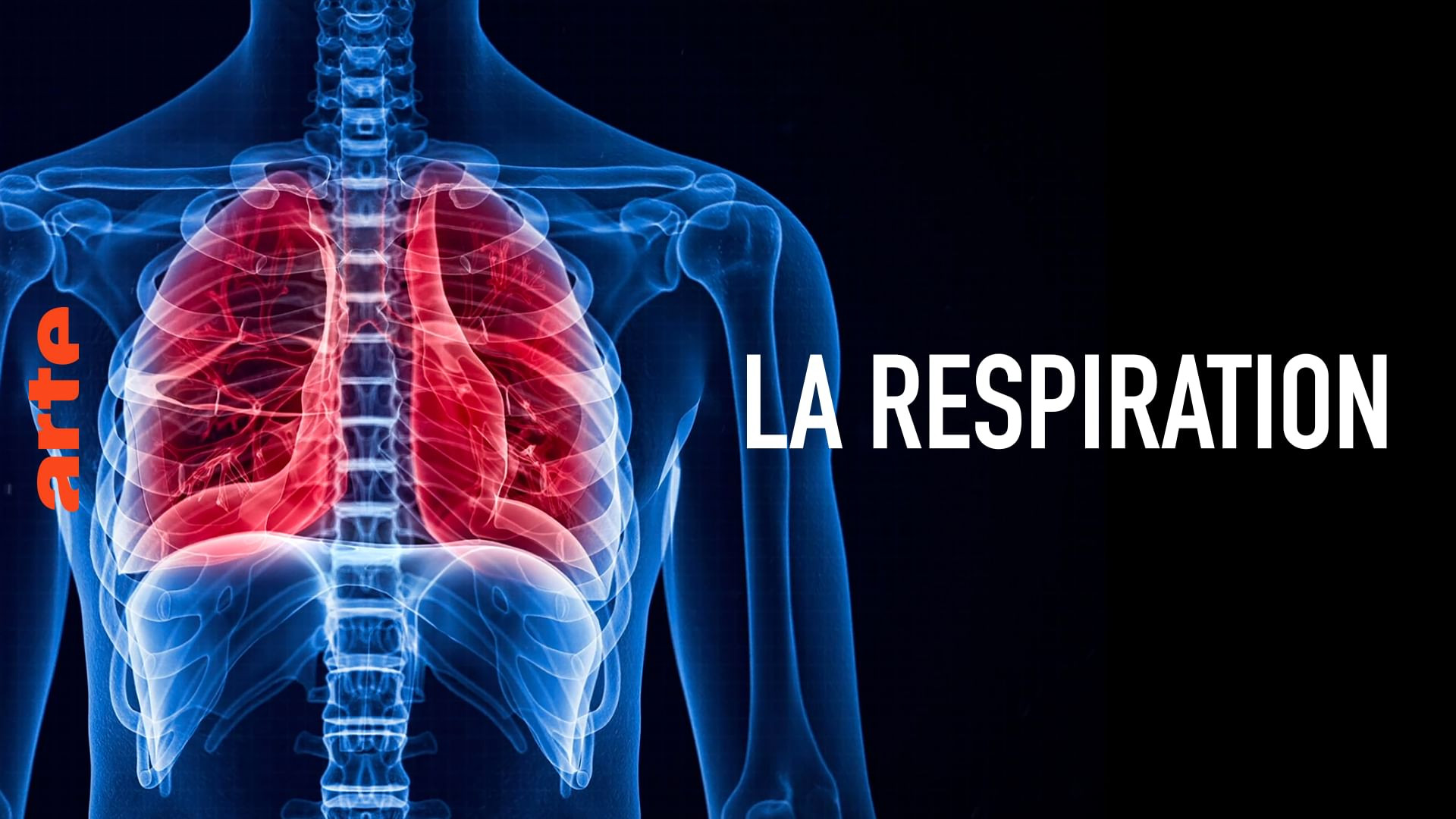 Breathing Background