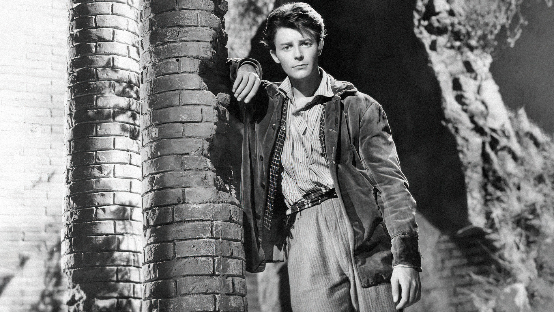 The Beauty of the Devil Background