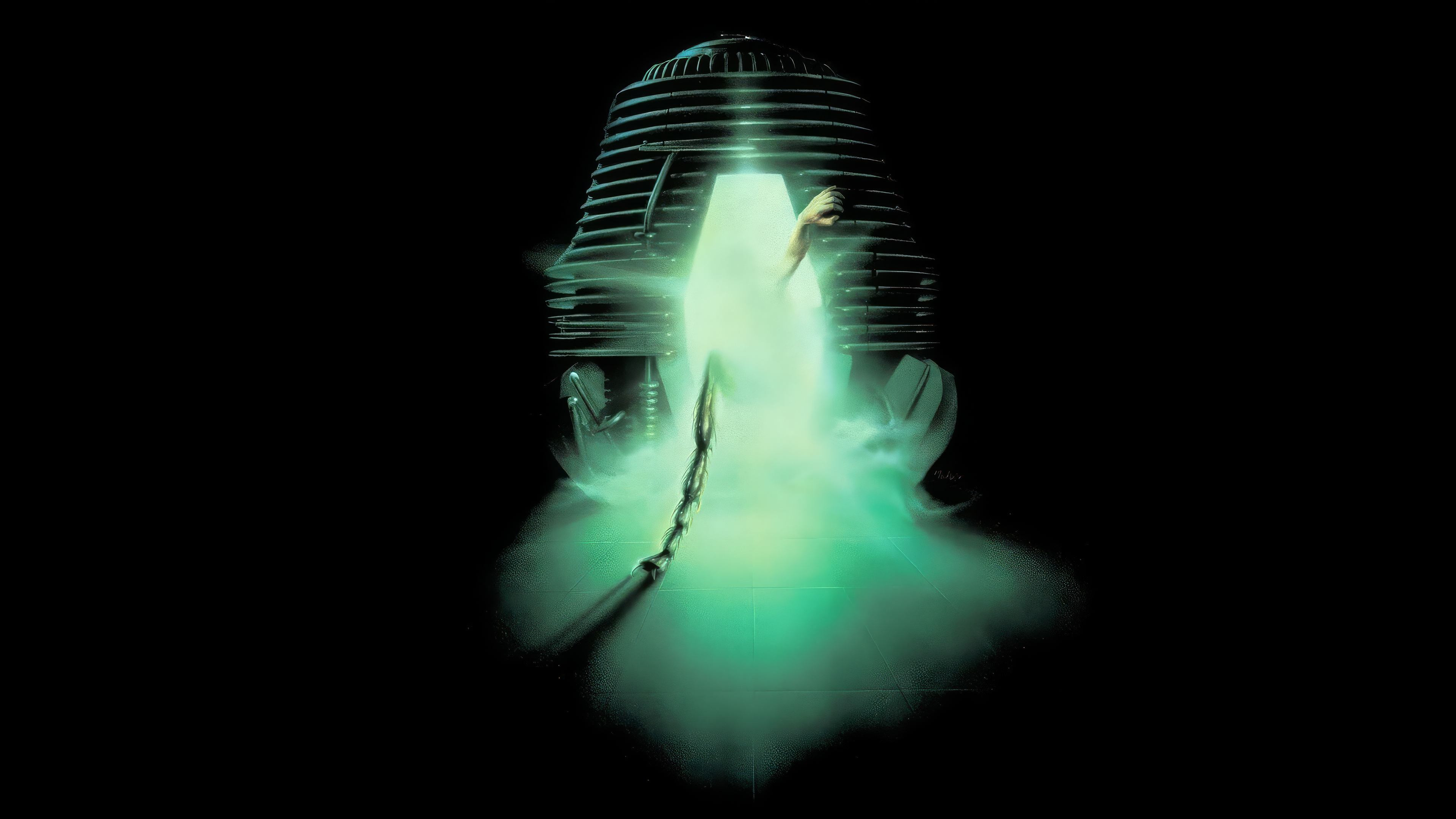 The Fly Background