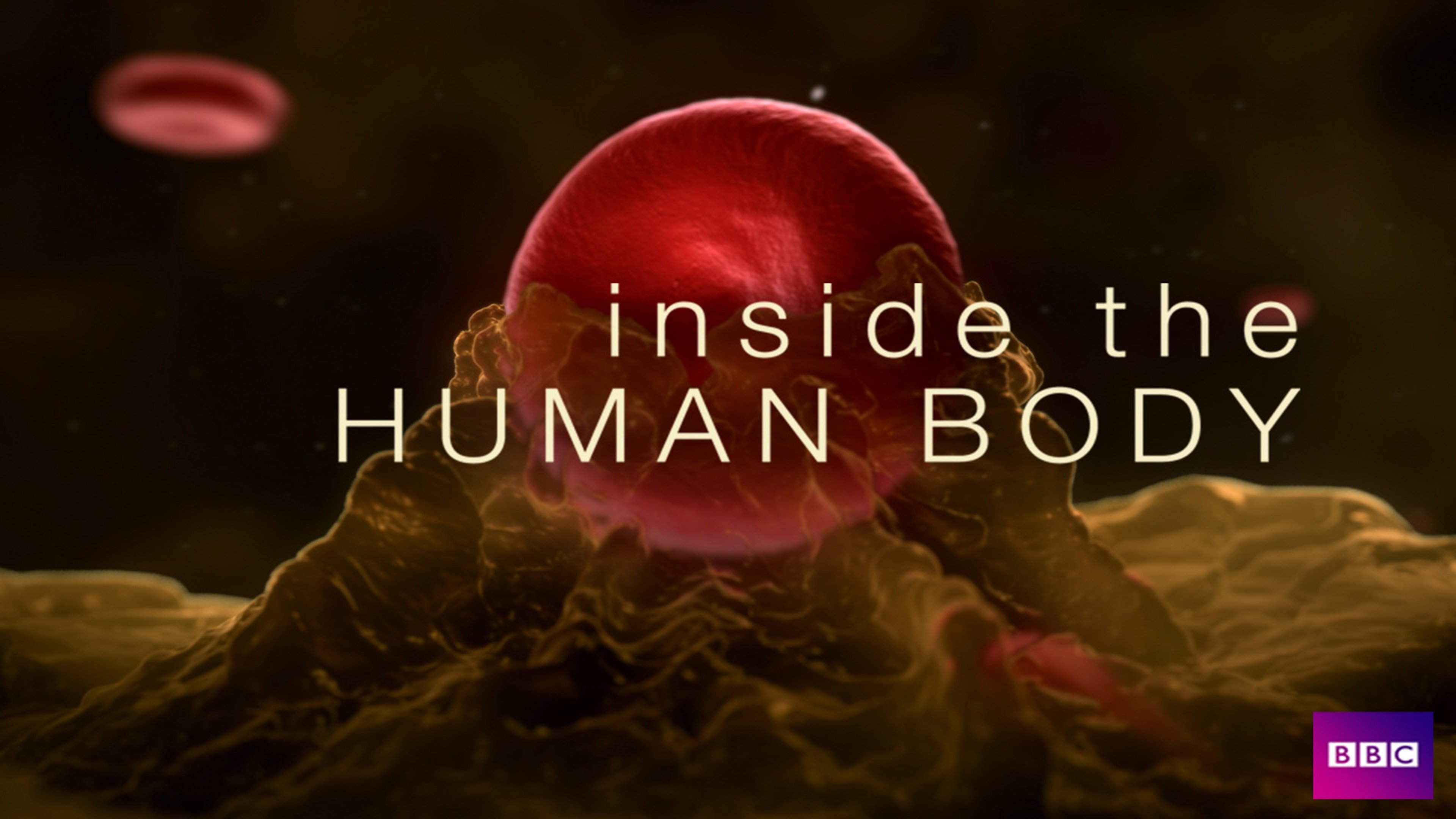 Inside the Human Body Background