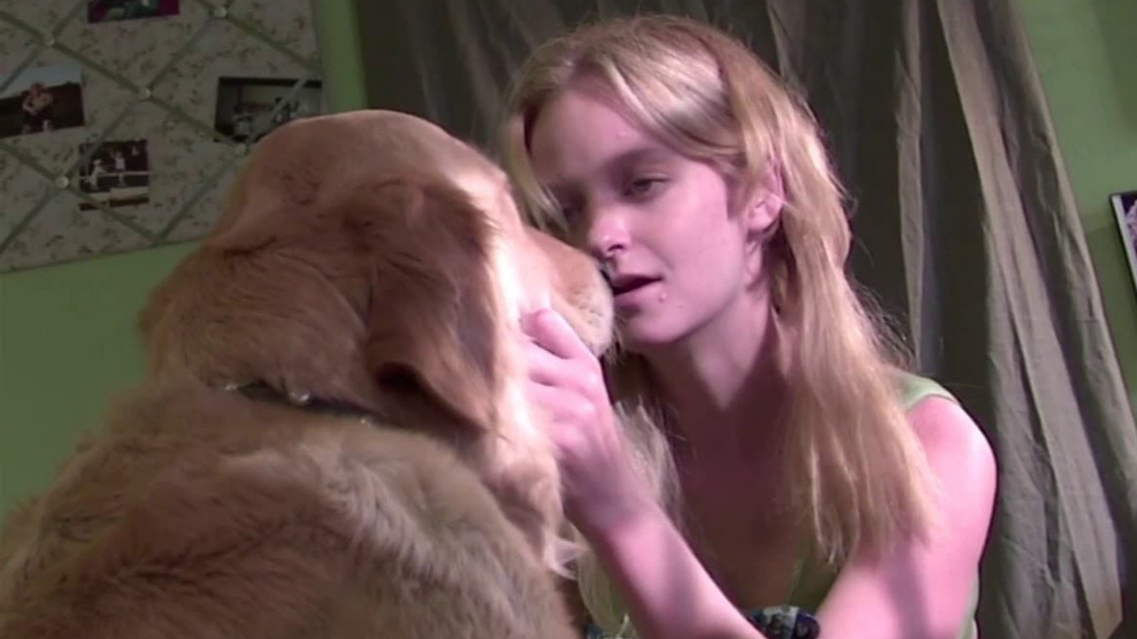 Love on a Leash Background