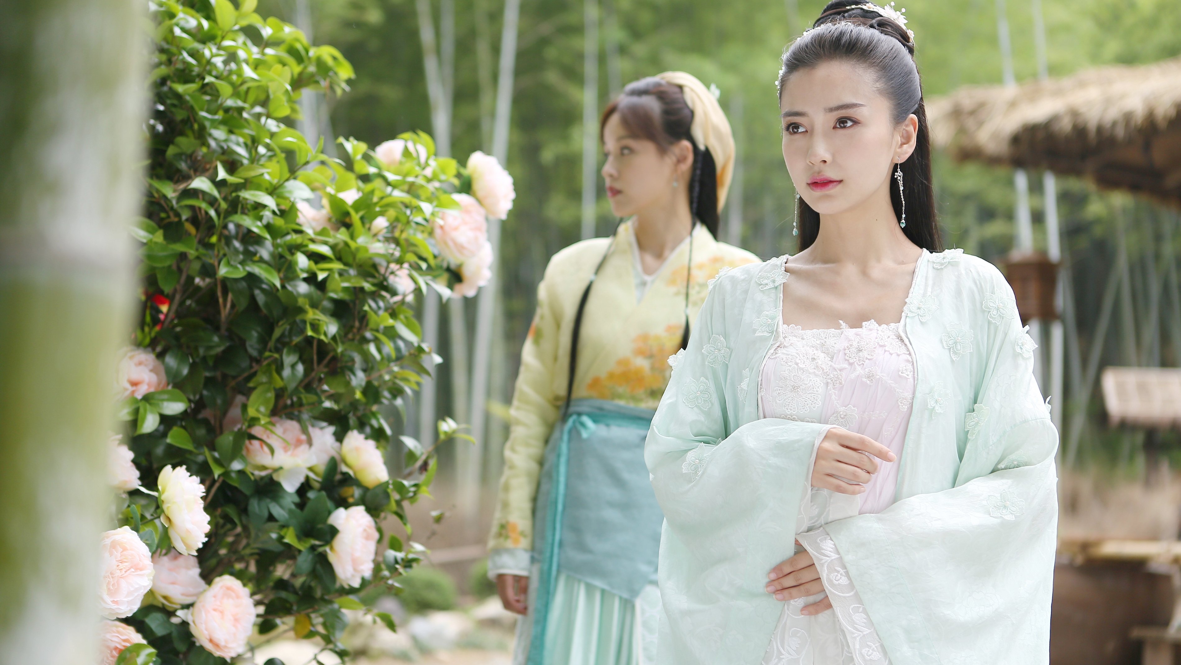 General and I Background