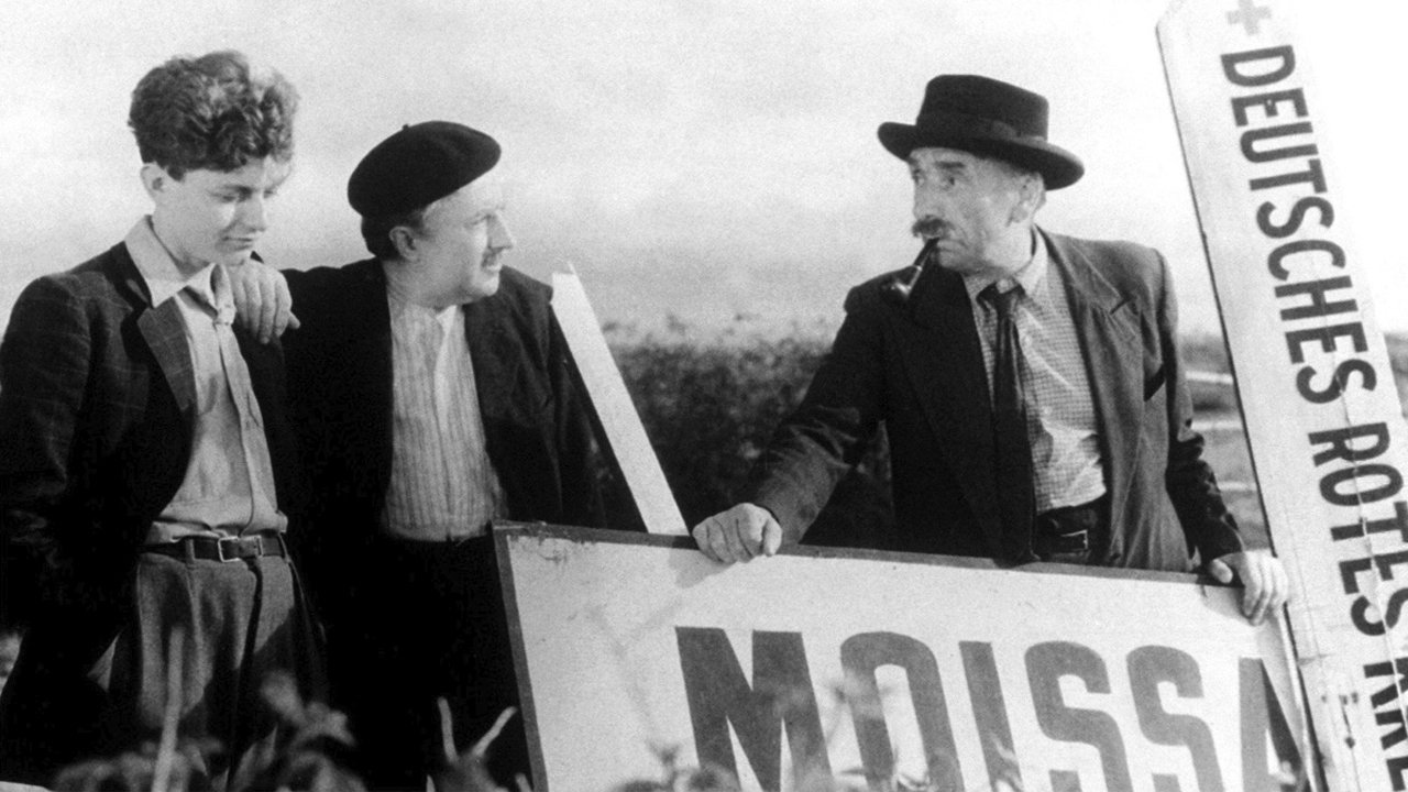 Mr. Orchid Background