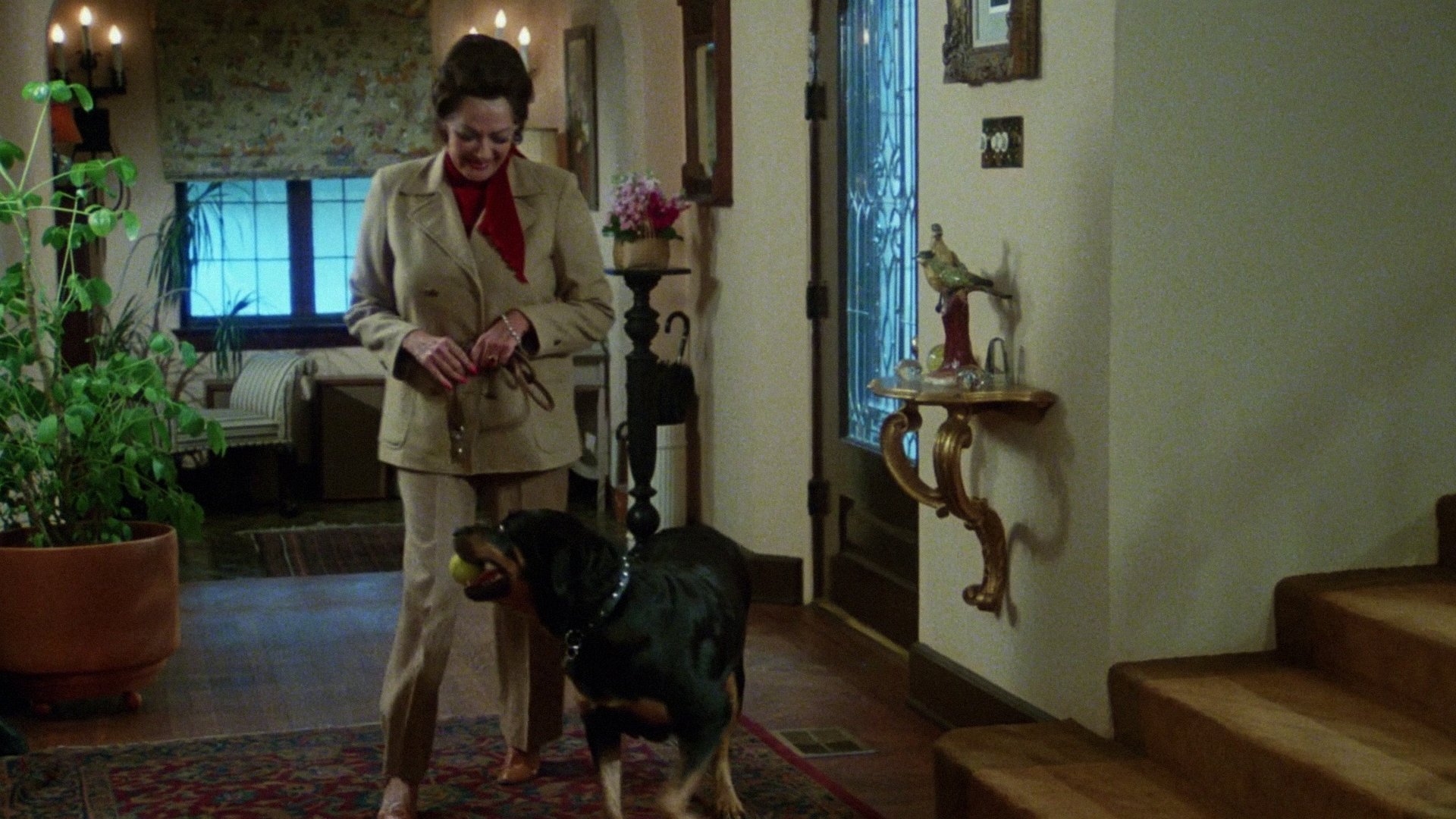 Play Dead Background