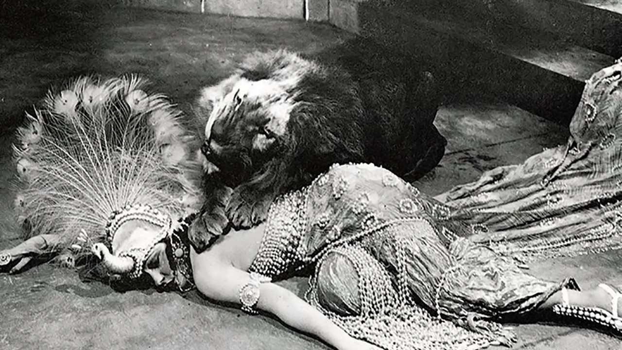 Male and Female Background