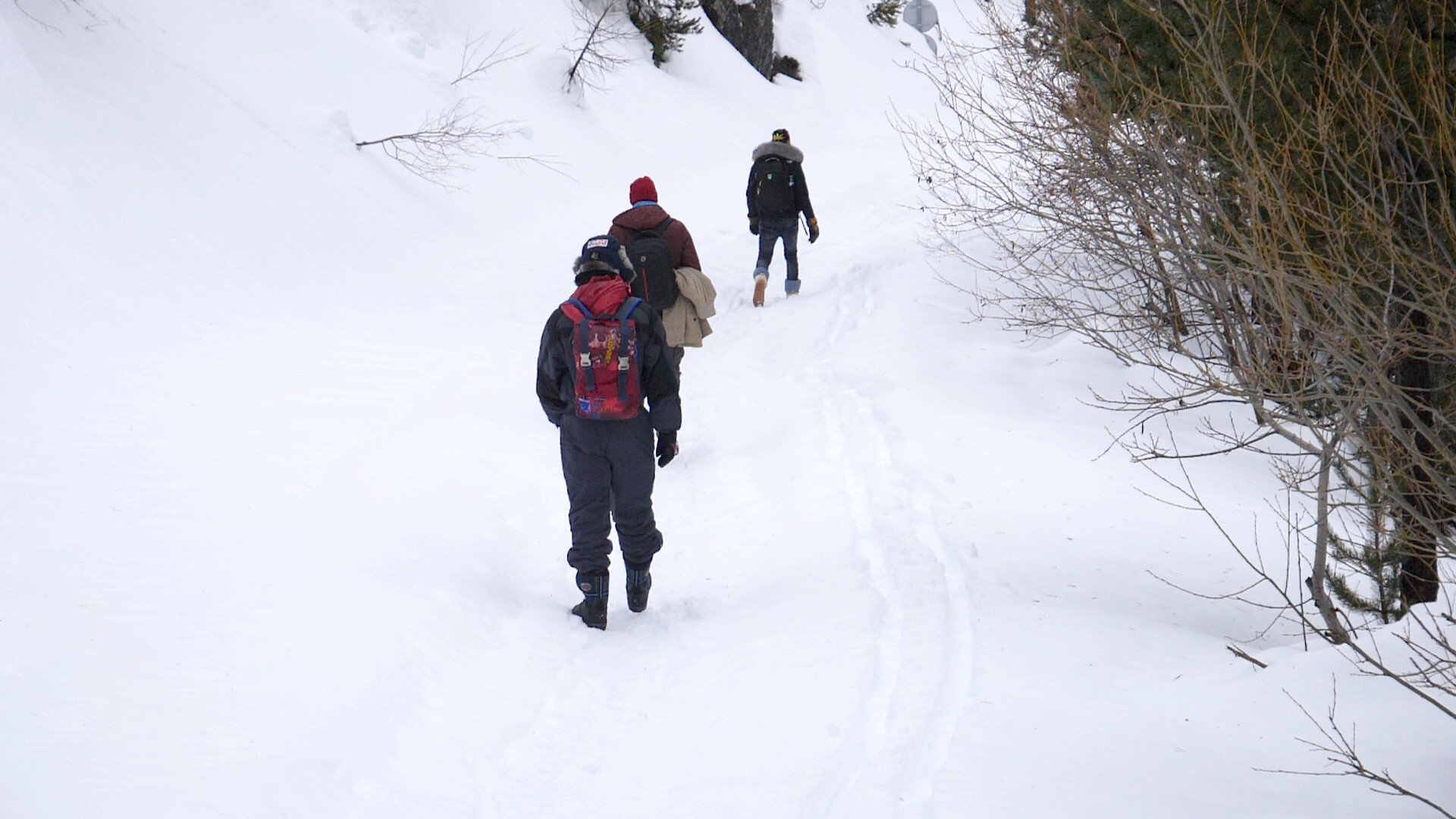 The Milky Way Background