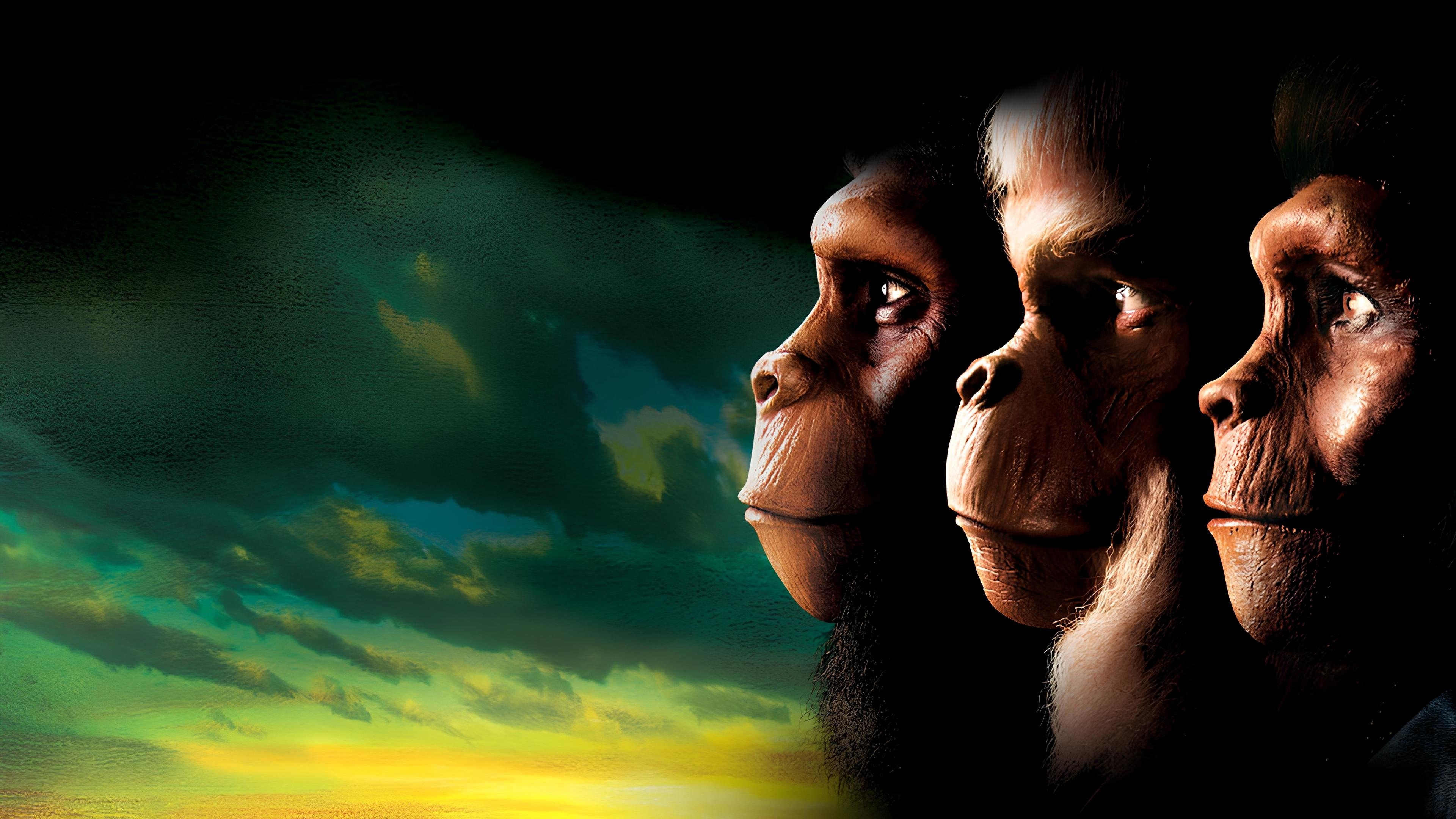 Planet of the Apes Background