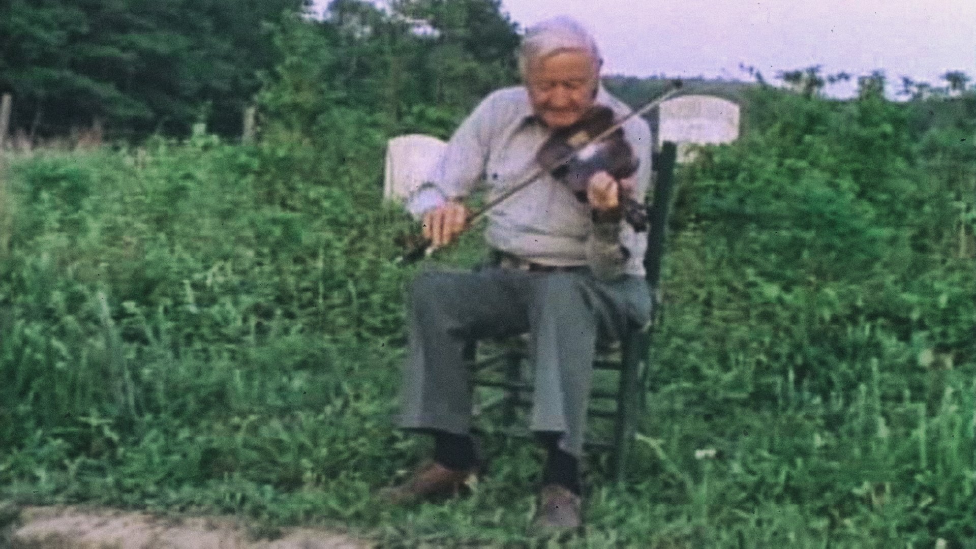 Sprout Wings and Fly Background