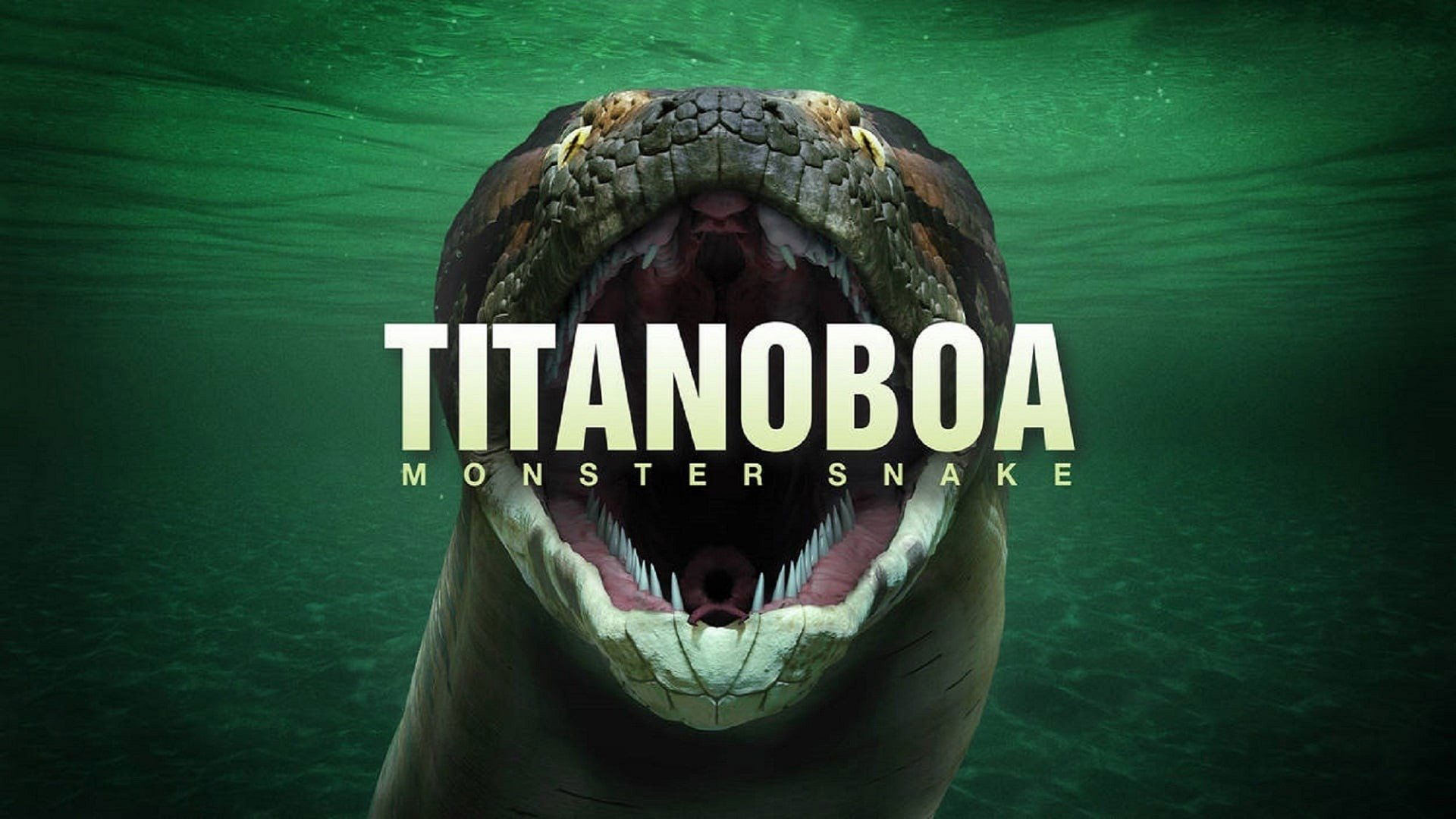 Titanoboa: Monster Snake Background