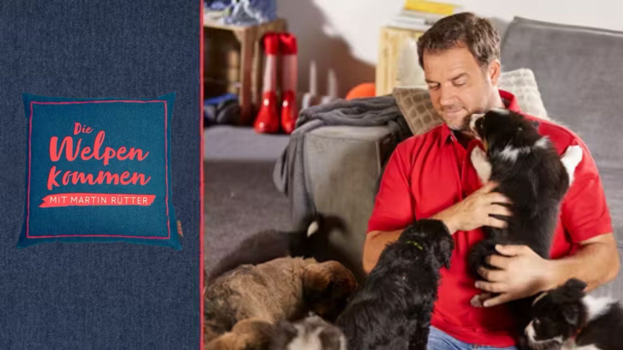 Martin Rütter - Die Welpen kommen Background