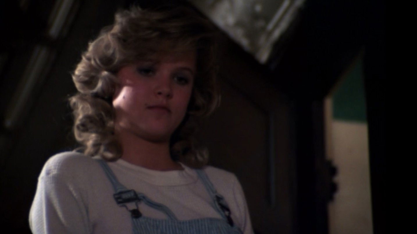 The Zoo Gang Background