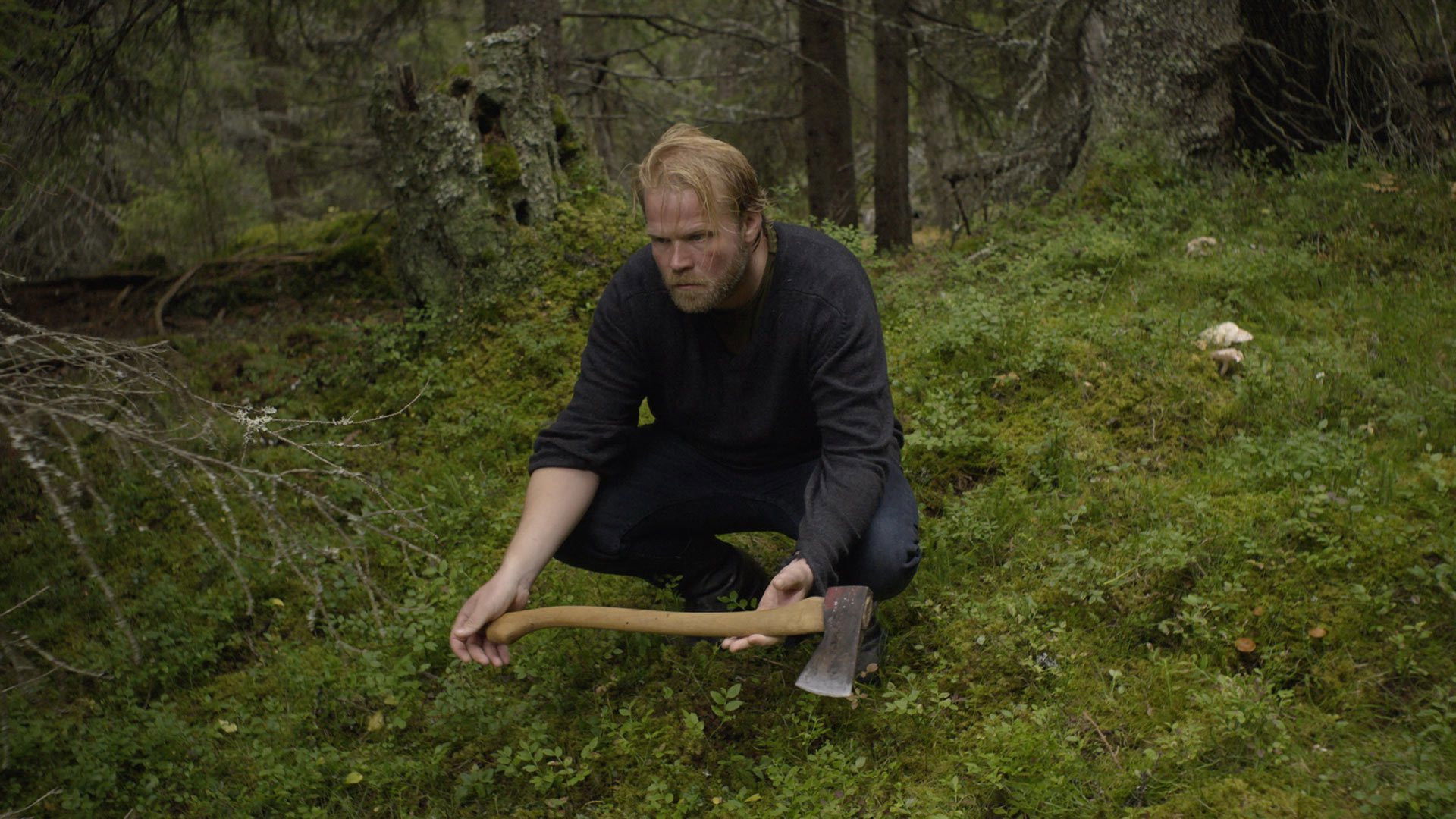 The Tree Feller Background