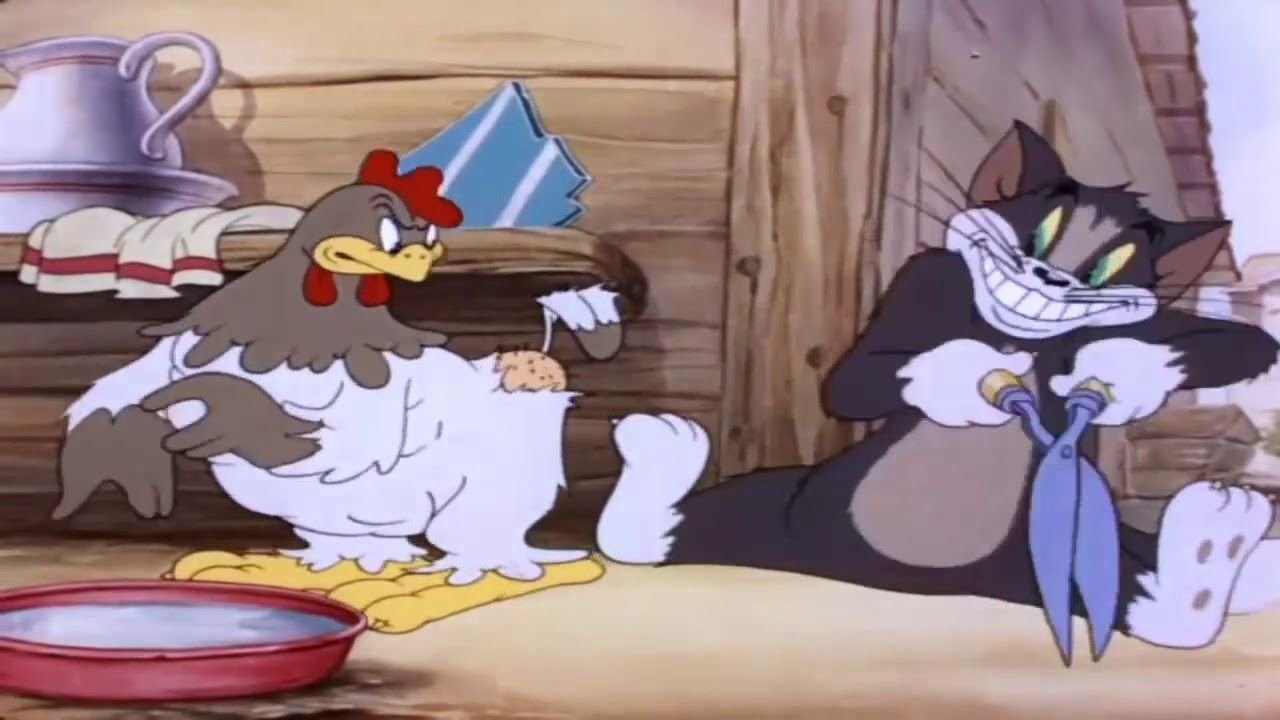 Fine Feathered Friend Background