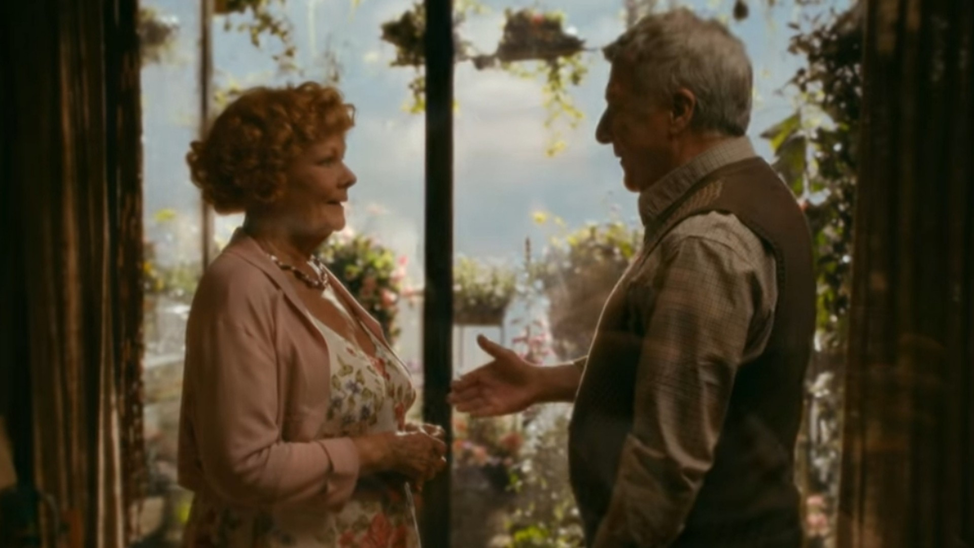 Roald Dahl's Esio Trot Background