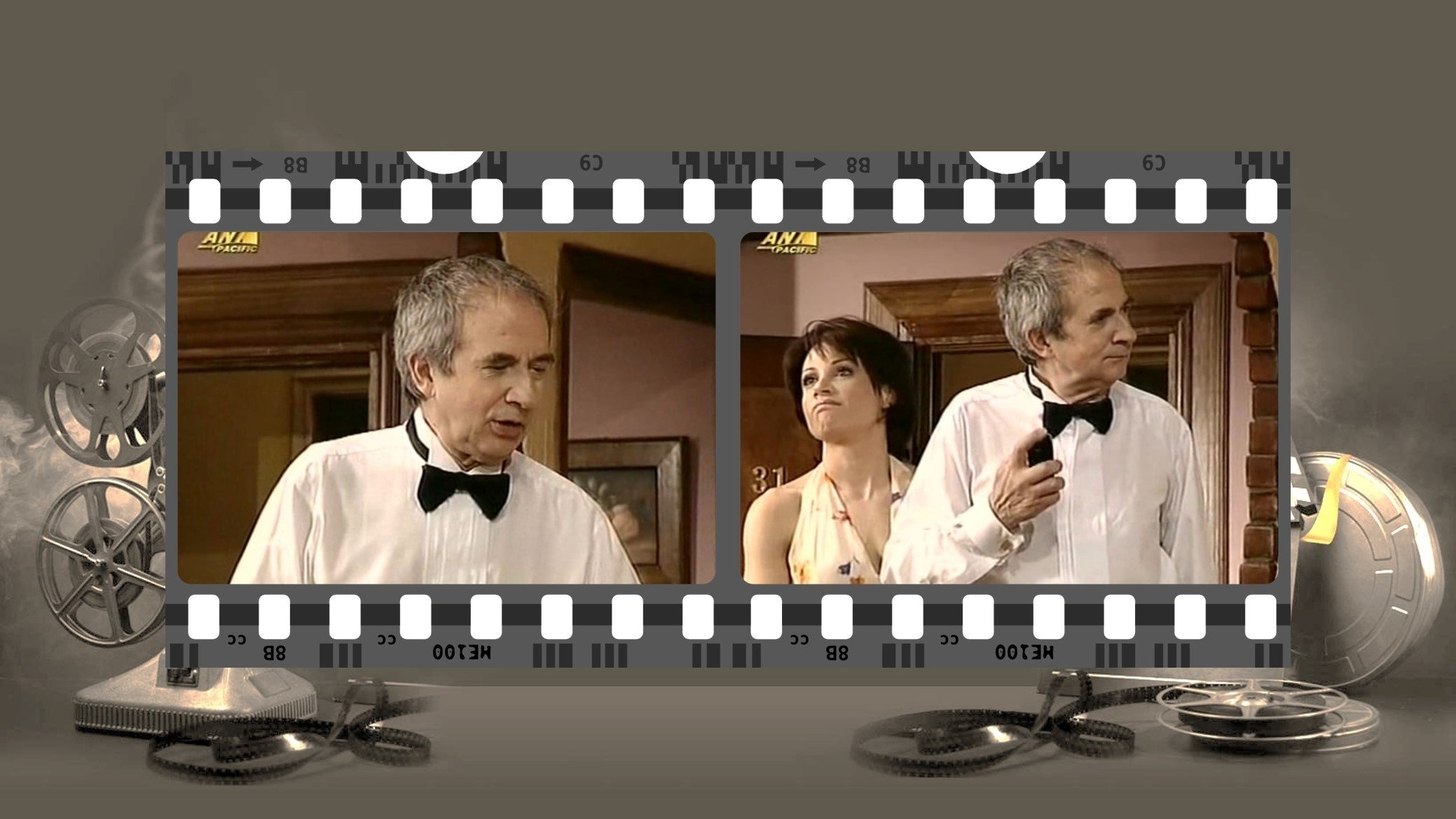 Methysmena koufeta Background