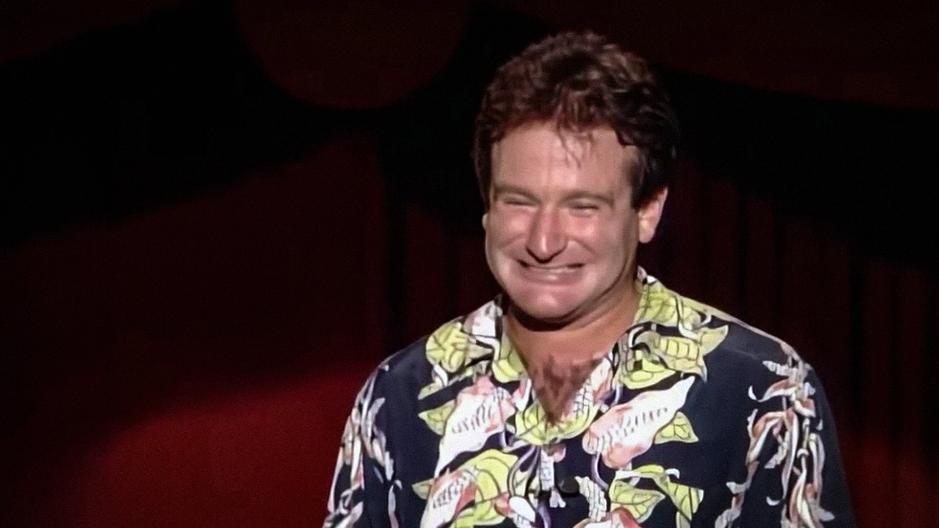 An Evening with Robin Williams Background