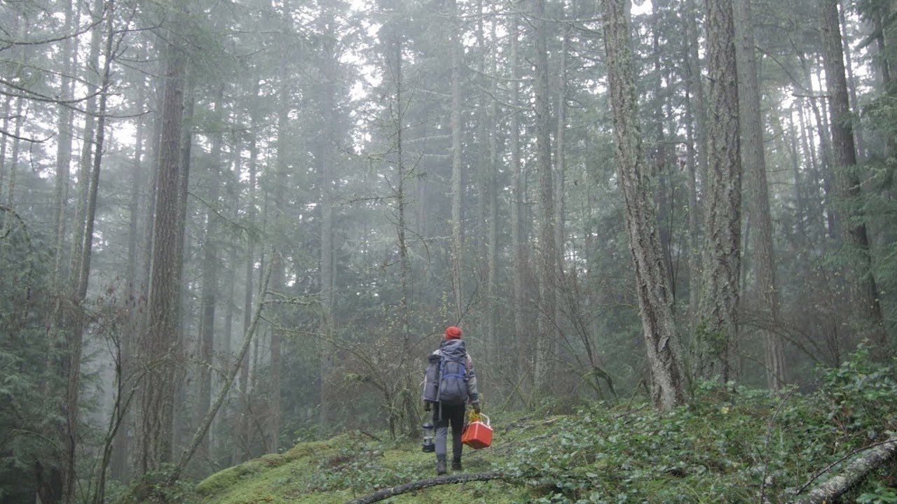 The Interior Background