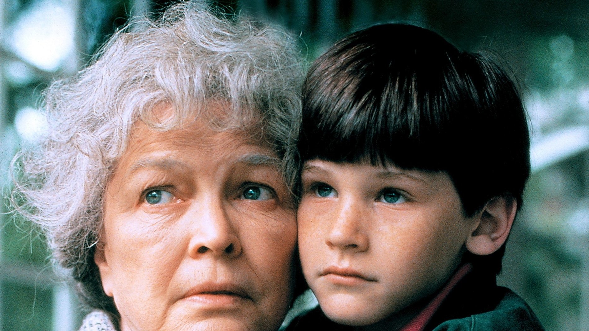 Mrs. Lambert Remembers Love Background