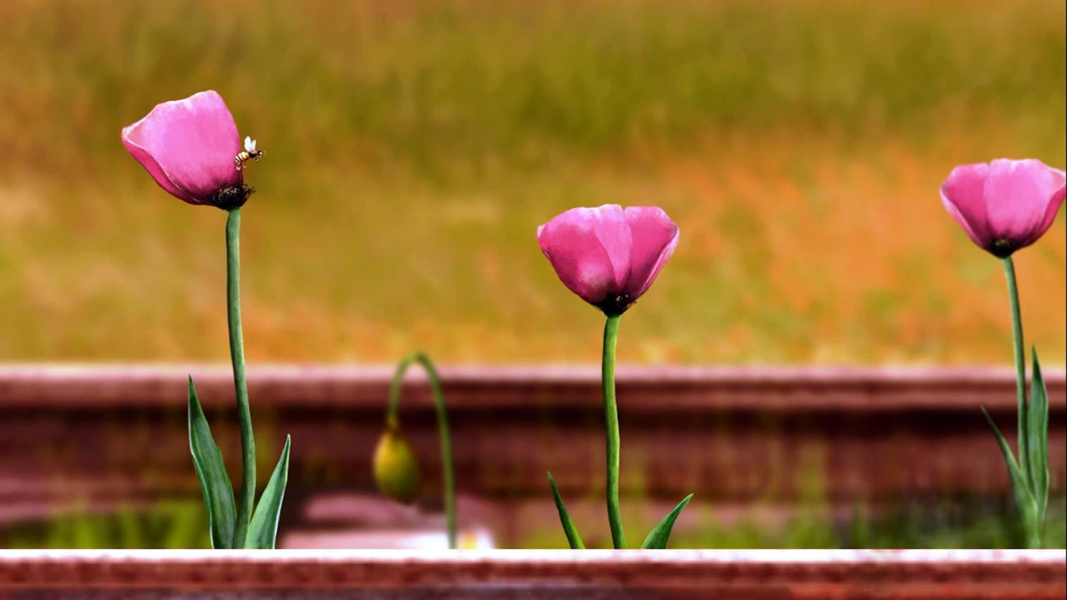 Living a Different Life Background