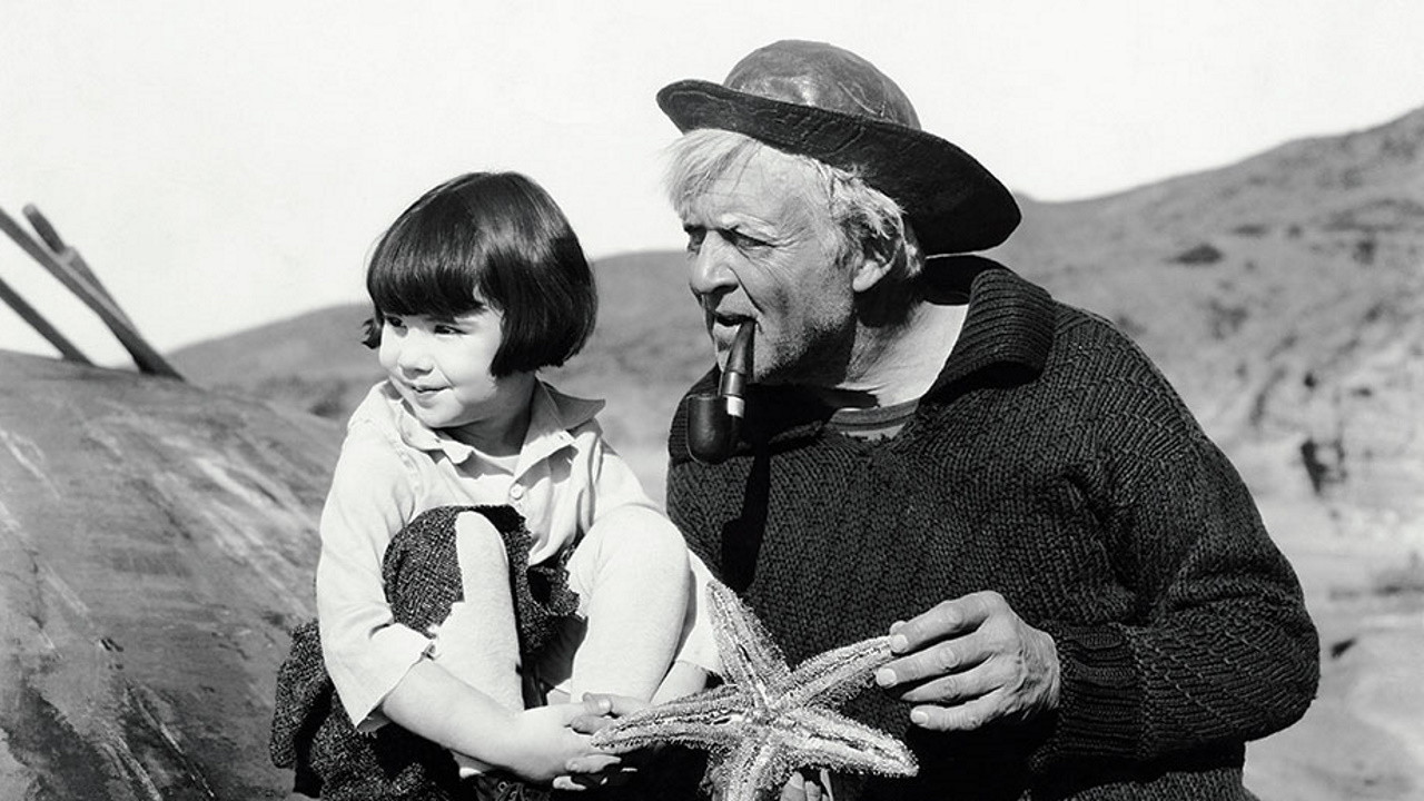 Captain January Background