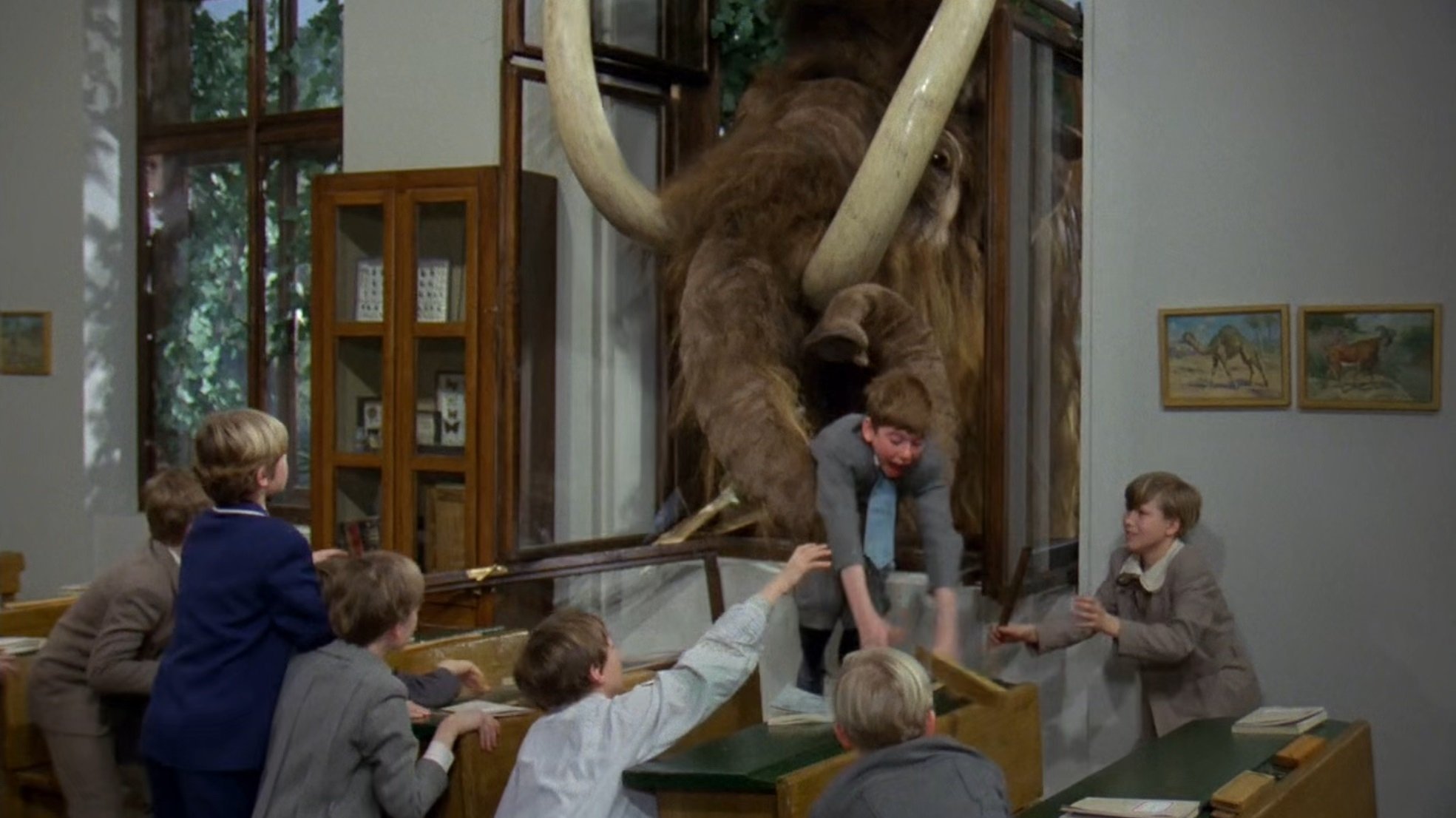 Křeček v noční košili Background