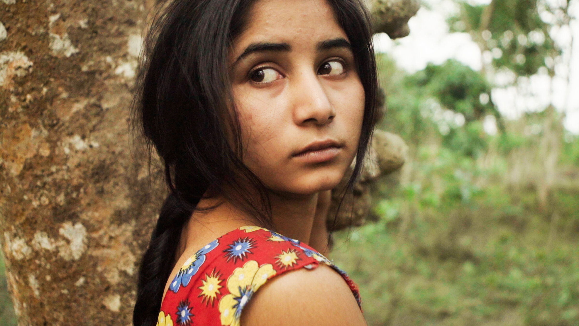 Bulbul Can Sing Background