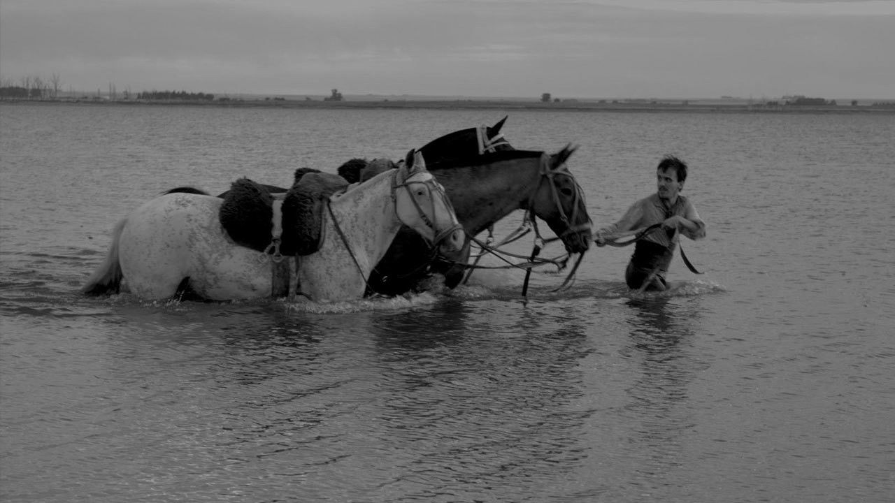El movimiento Background