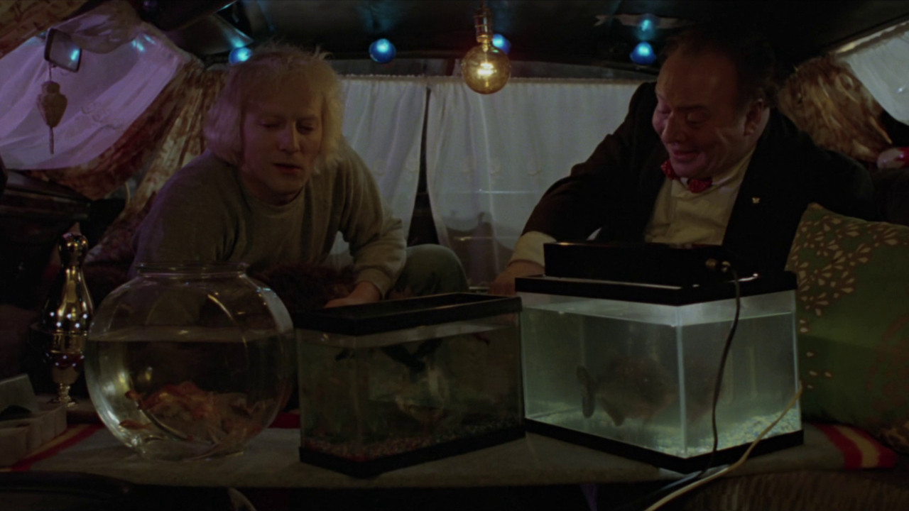 Moonshine Background