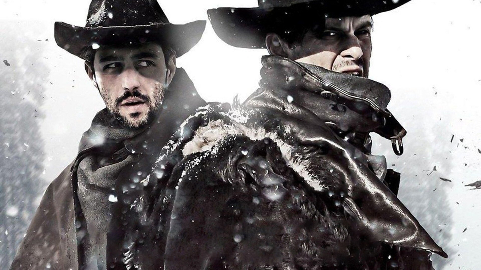 The Timber Background