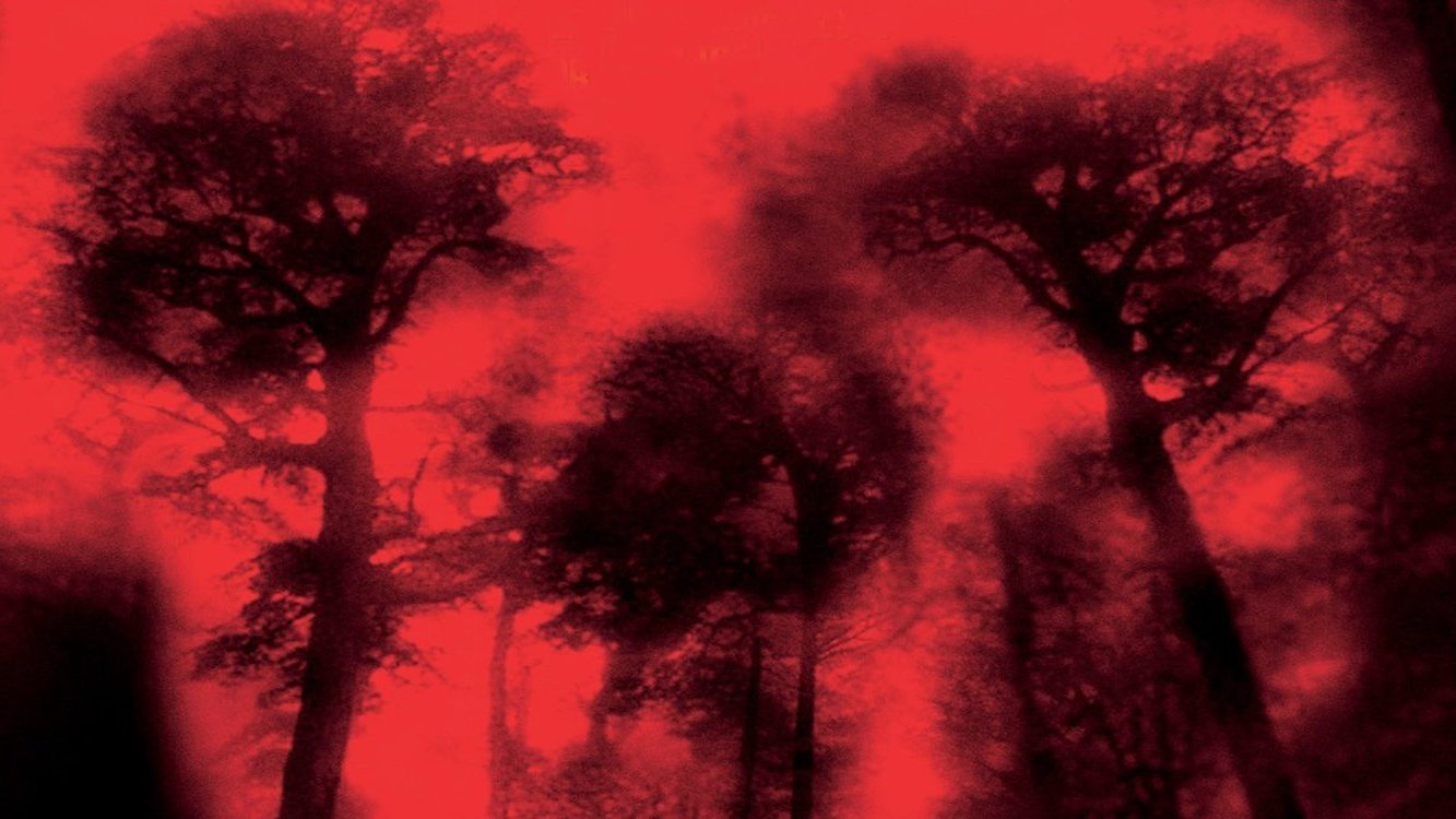 Cabin Fever Background