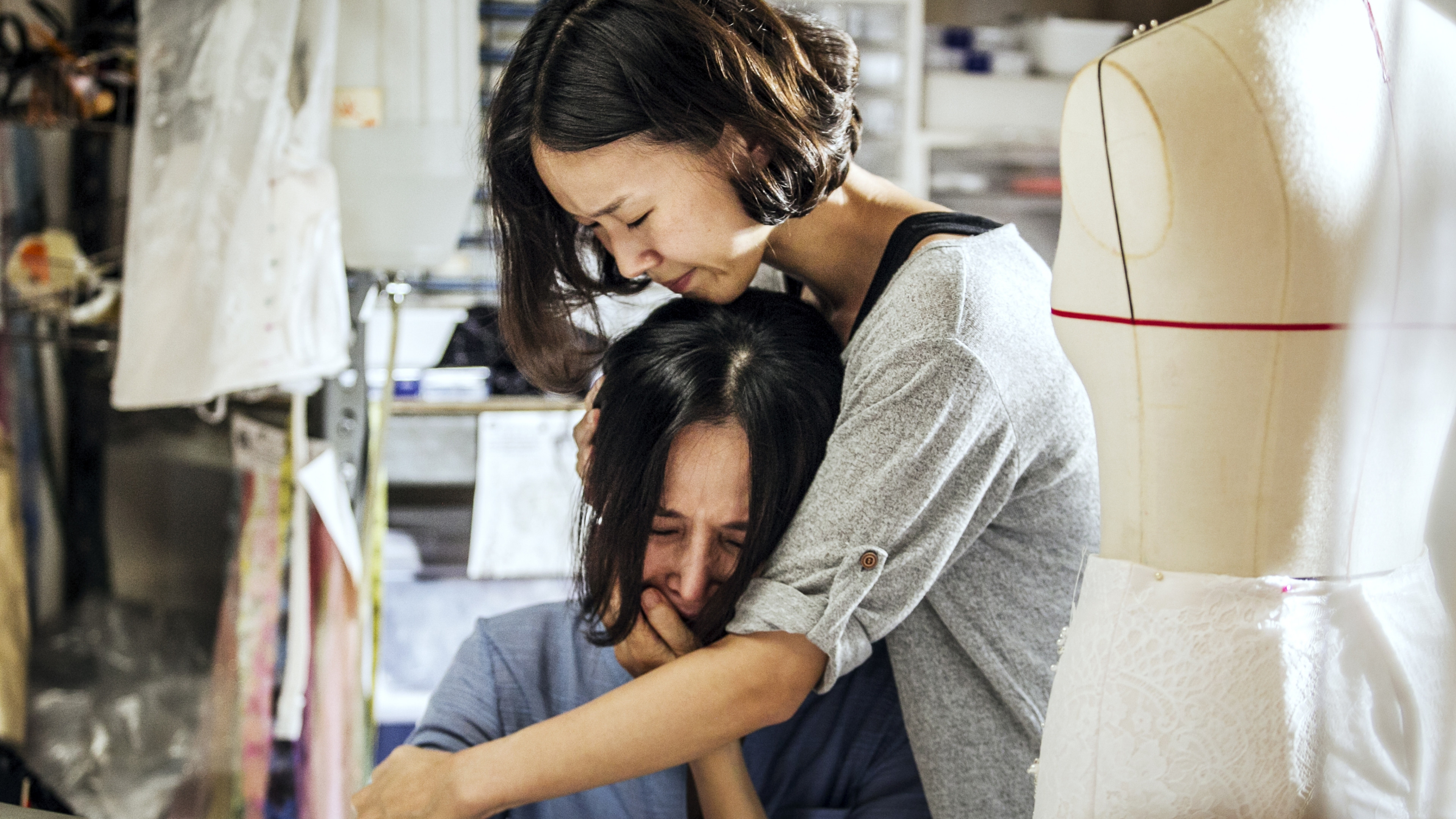 White Ant Background