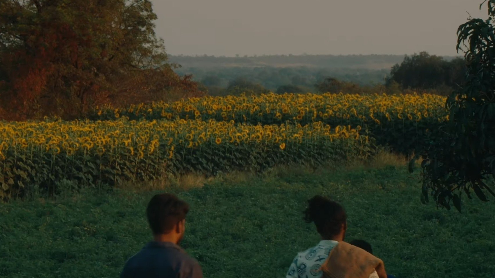 Double Engine Background