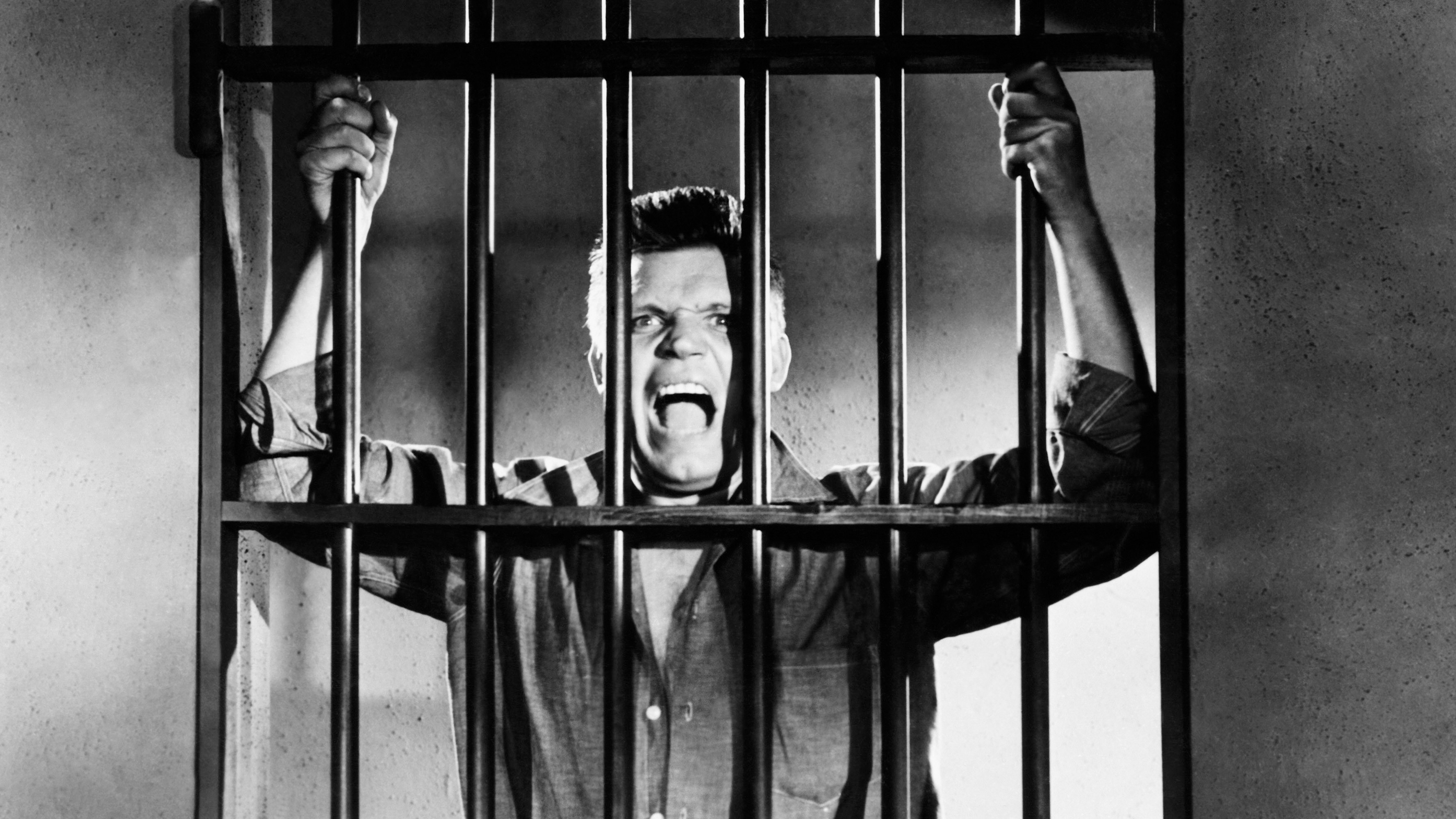 Riot in Cell Block 11 Background