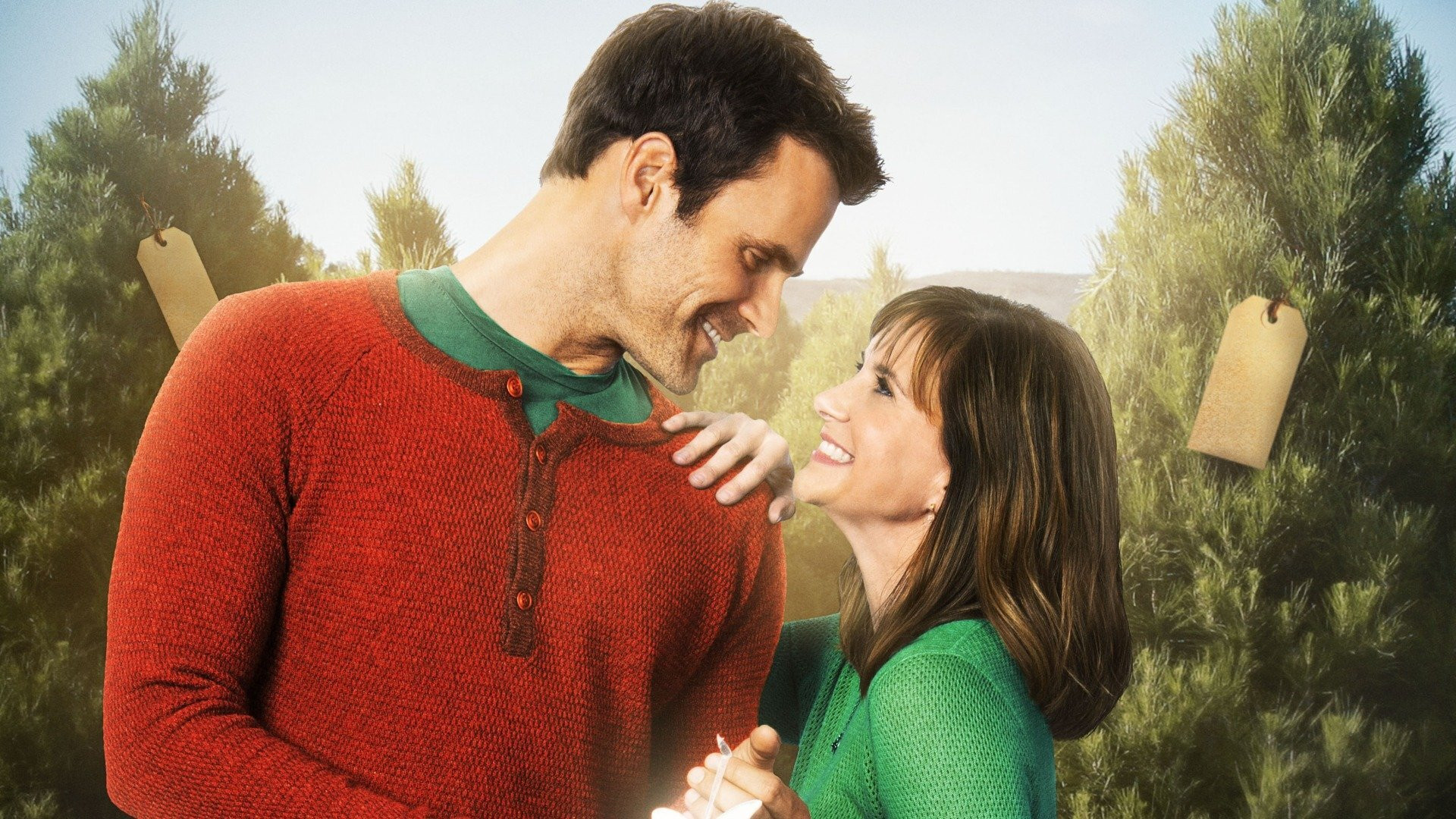 The Christmas Ornament Background