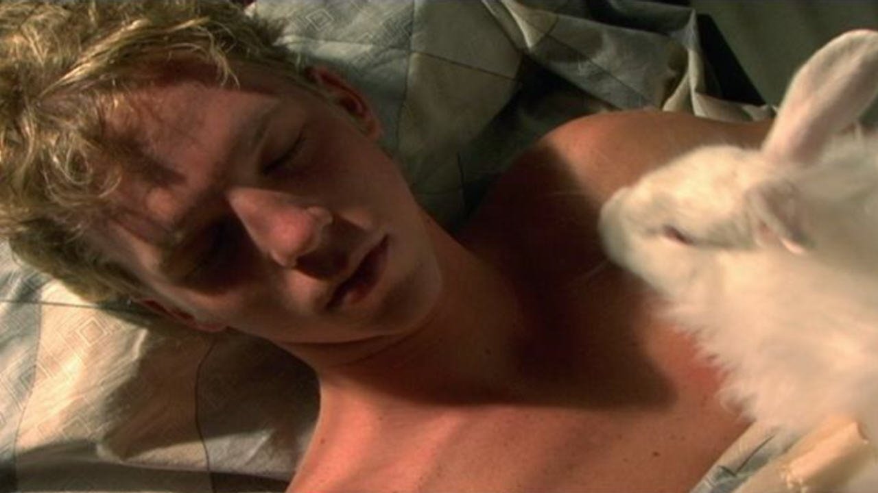 Angora Ranch Background