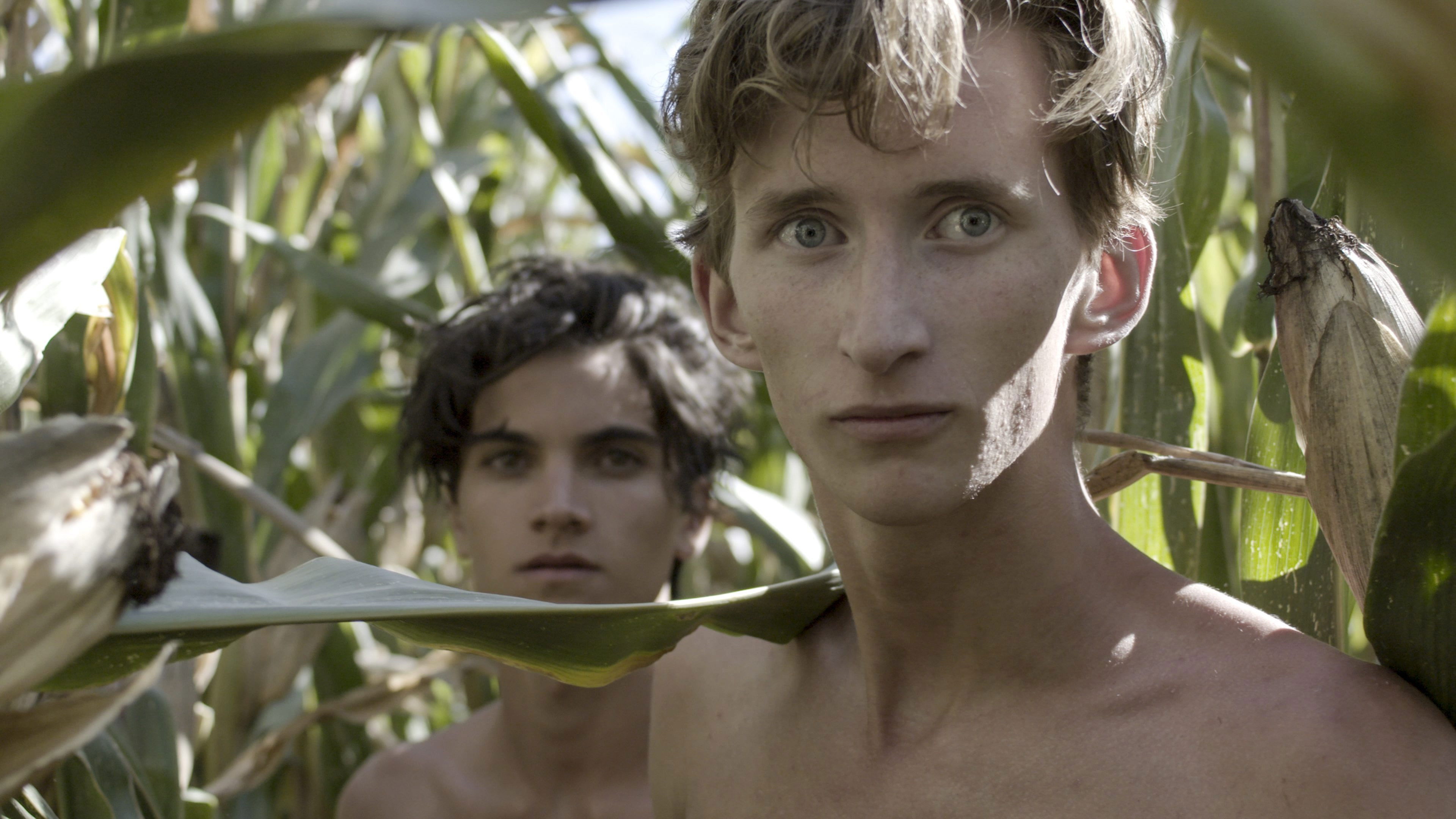 In a Future April: The Young Pasolini Background