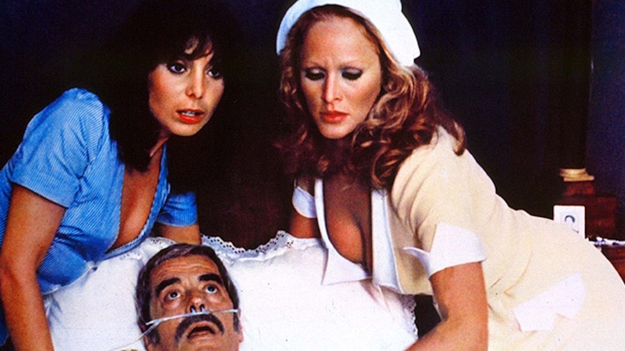 The Sensuous Nurse Background