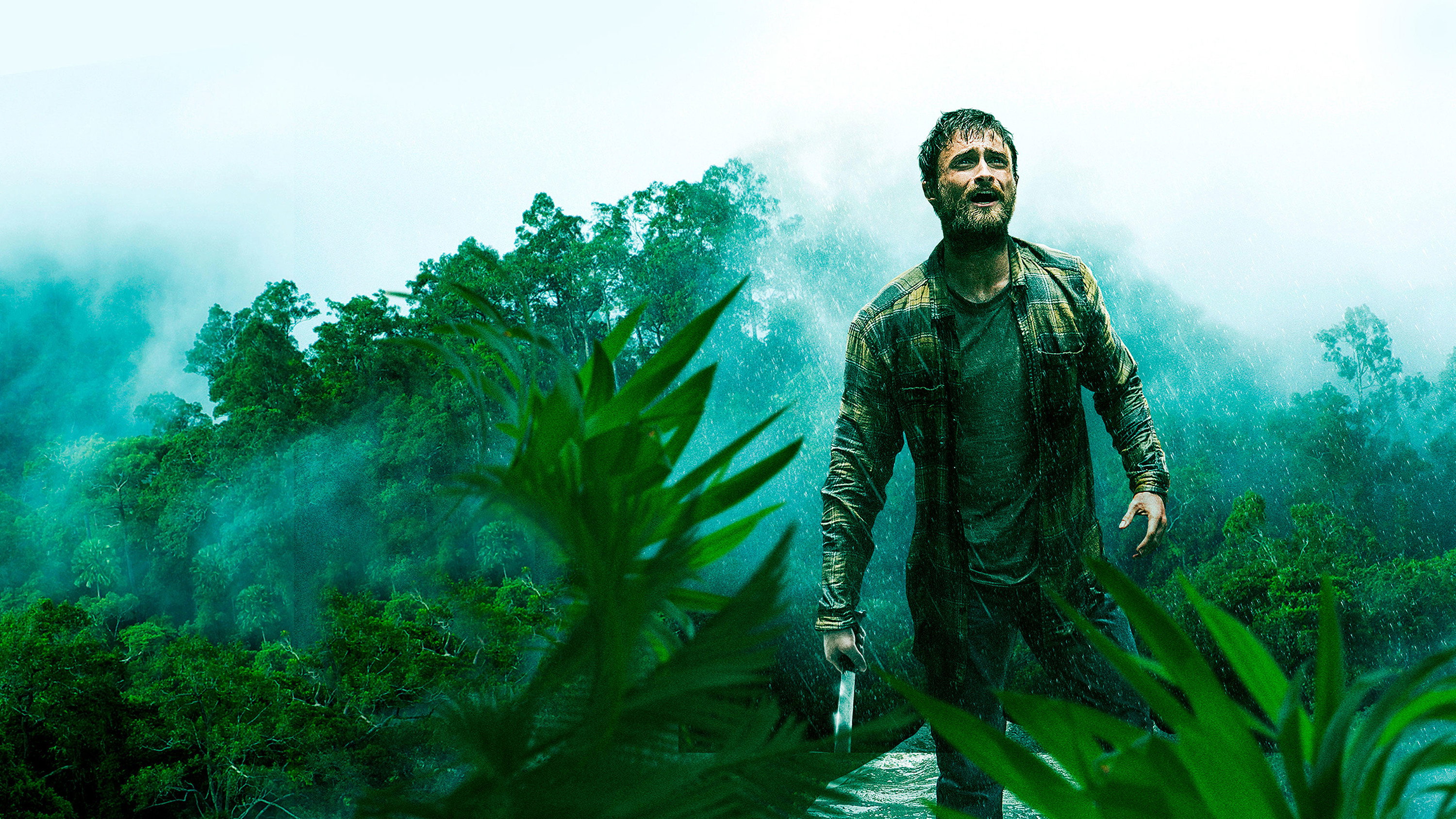 Jungle Background
