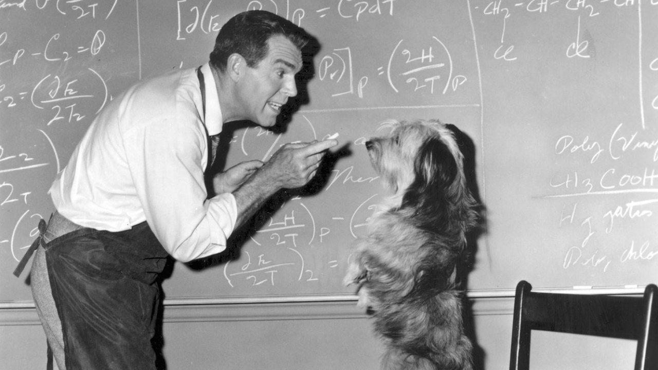 The Absent-Minded Professor Background