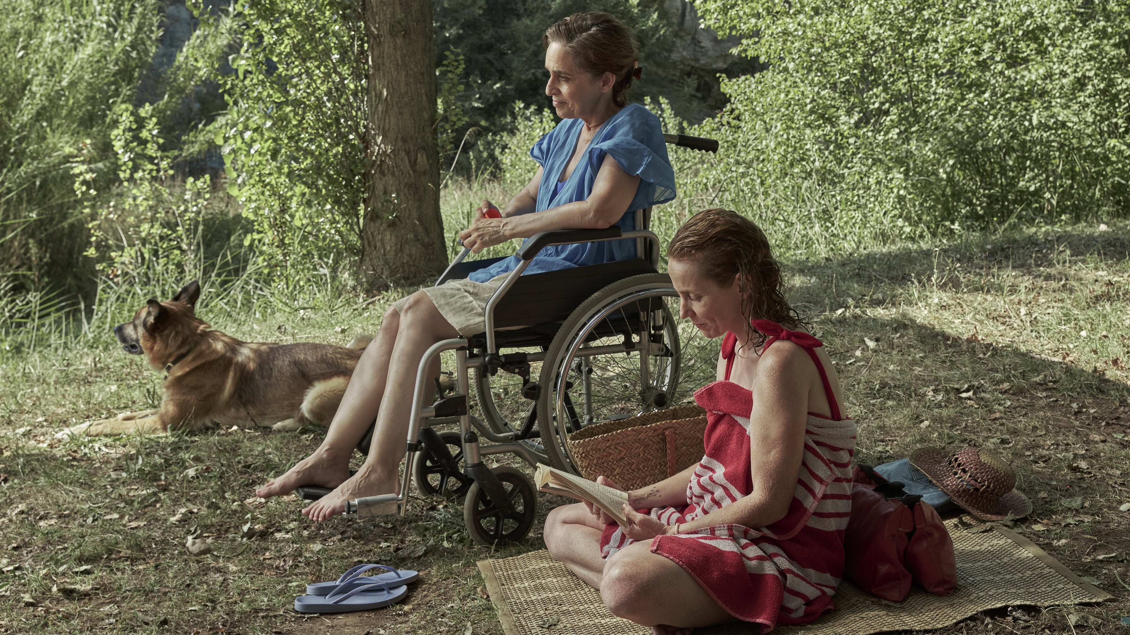 Los Pequeños Amores Background