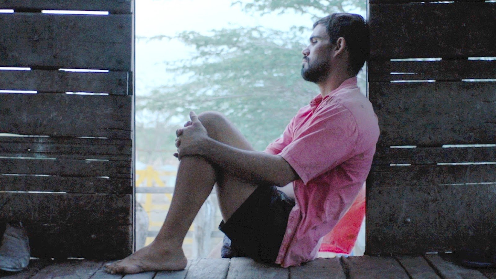 Neon Bull Background