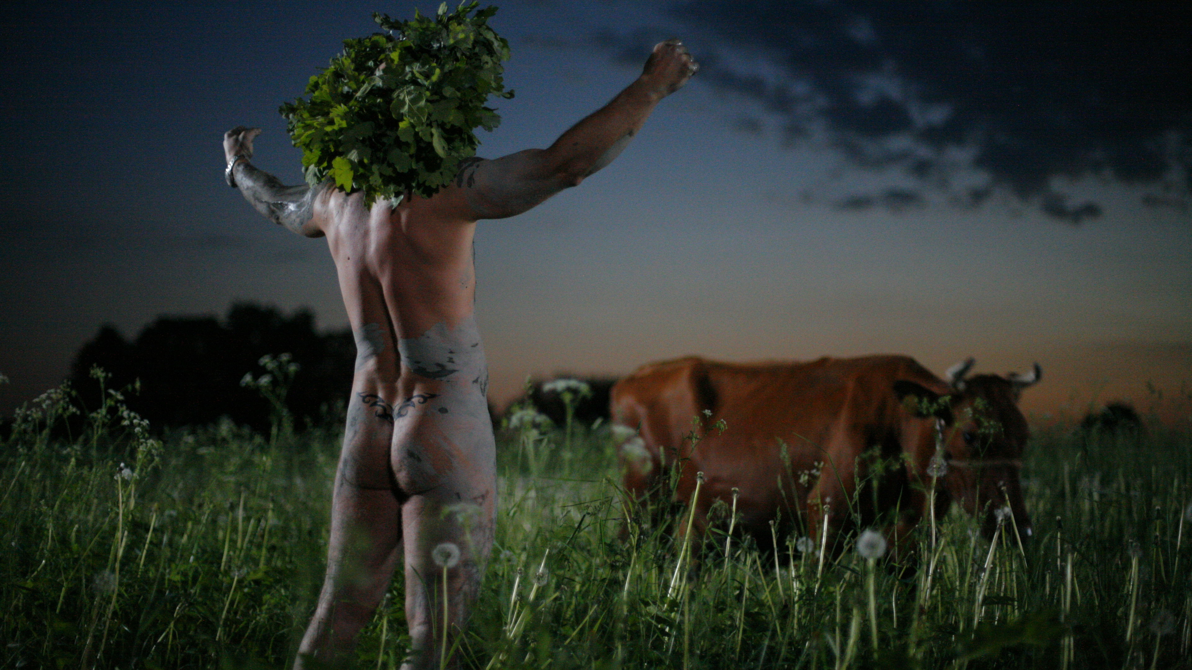 Midsummer Madness Background