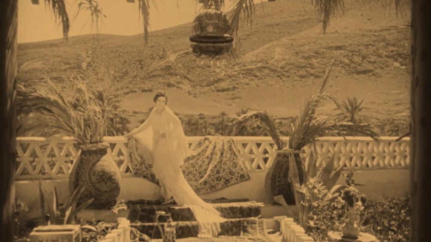 Mother Hummingbird Background