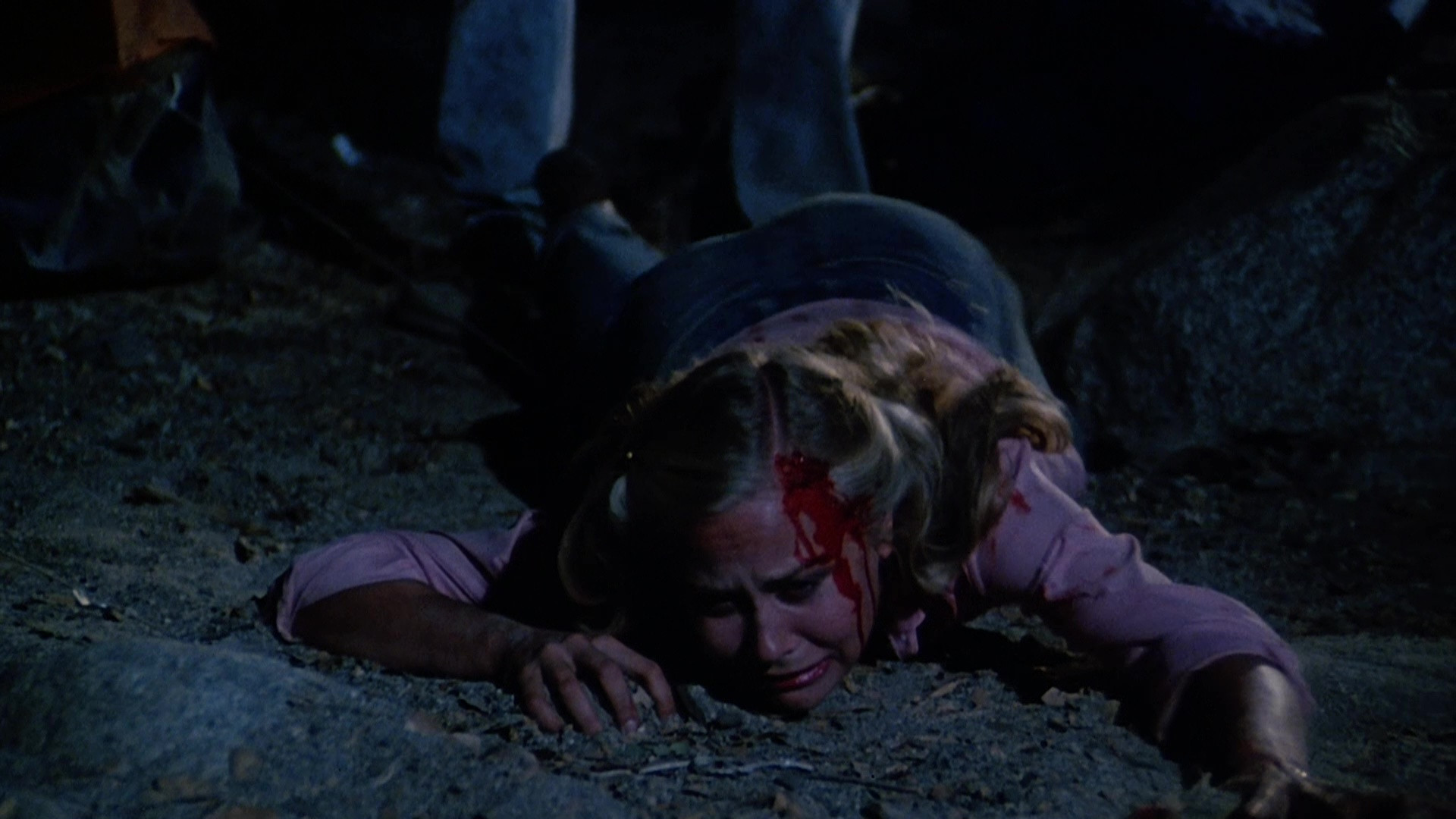 The Forest Background