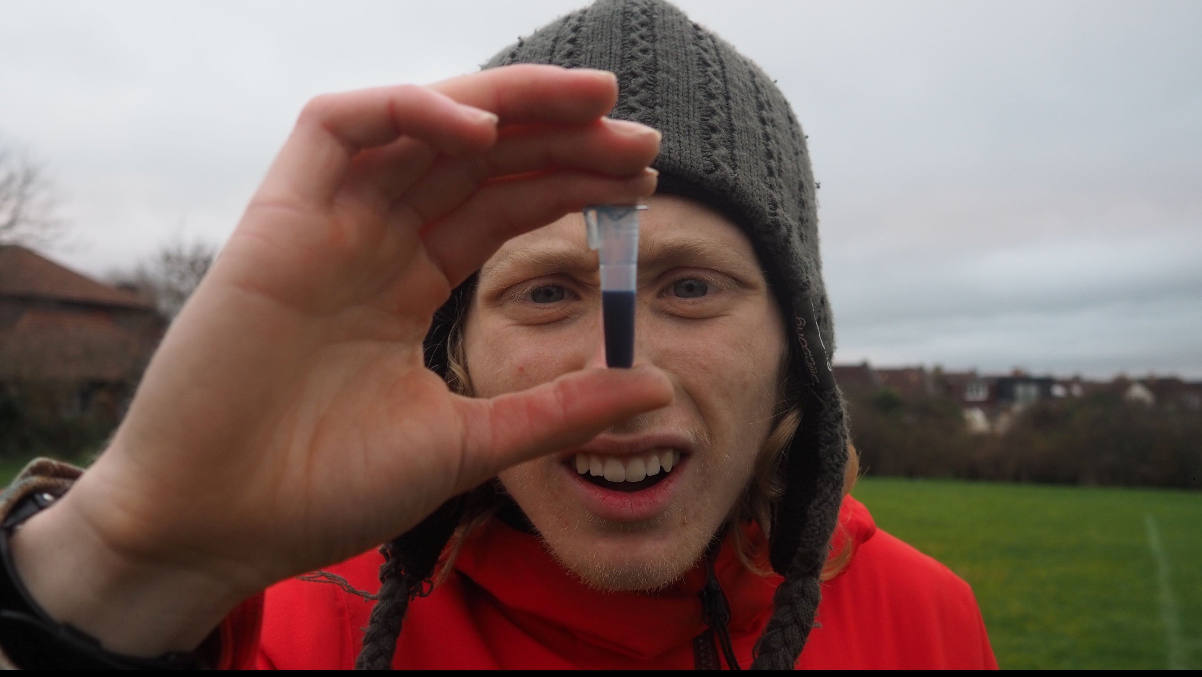 Bequeathed Background