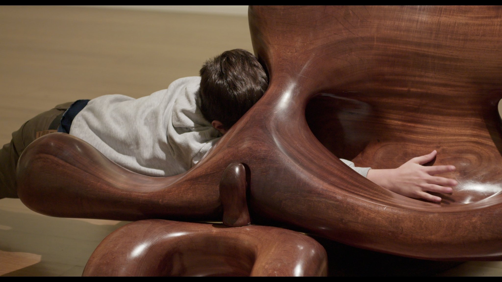 Catálogo para una familia Background