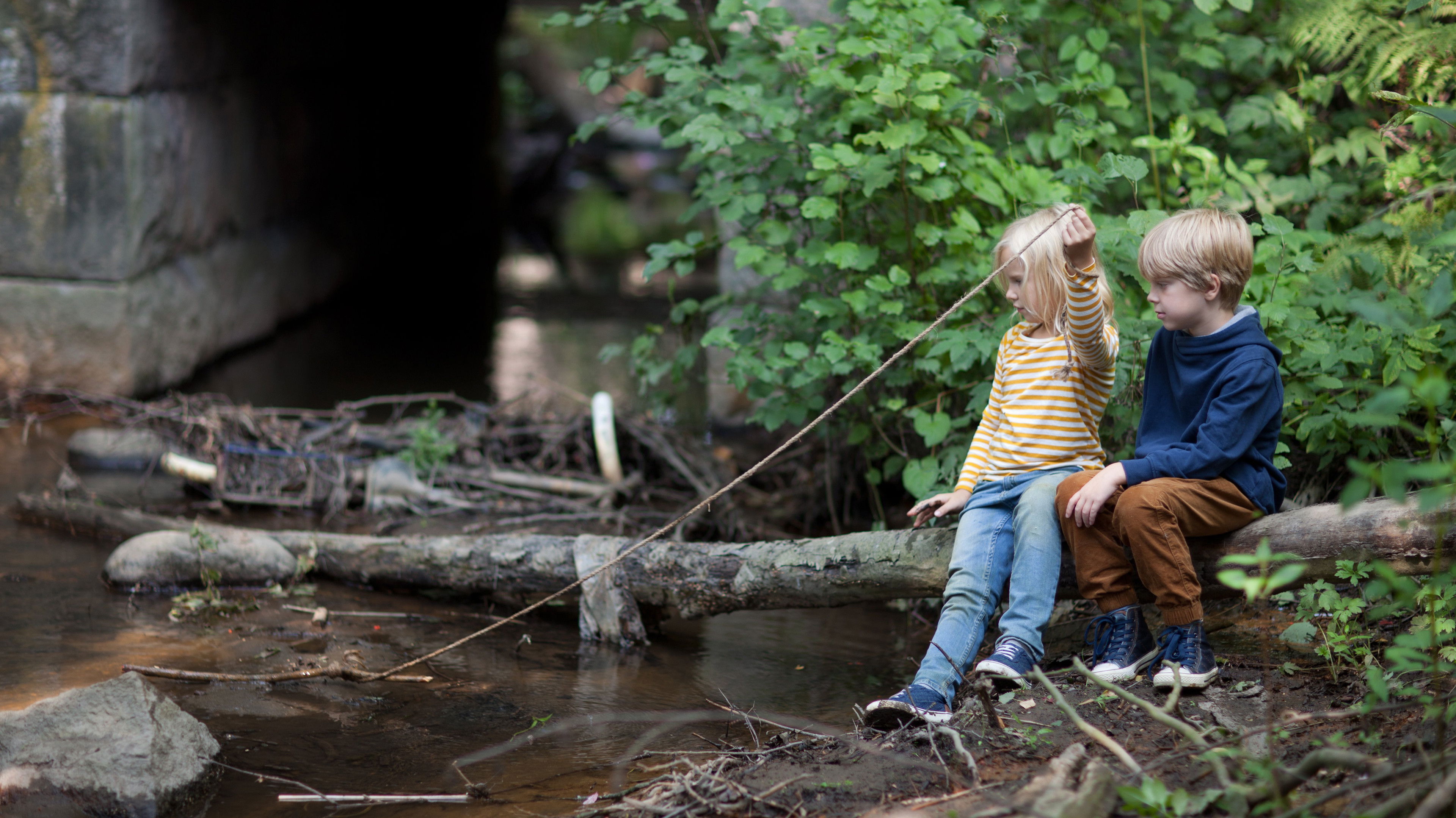 The Stick Background