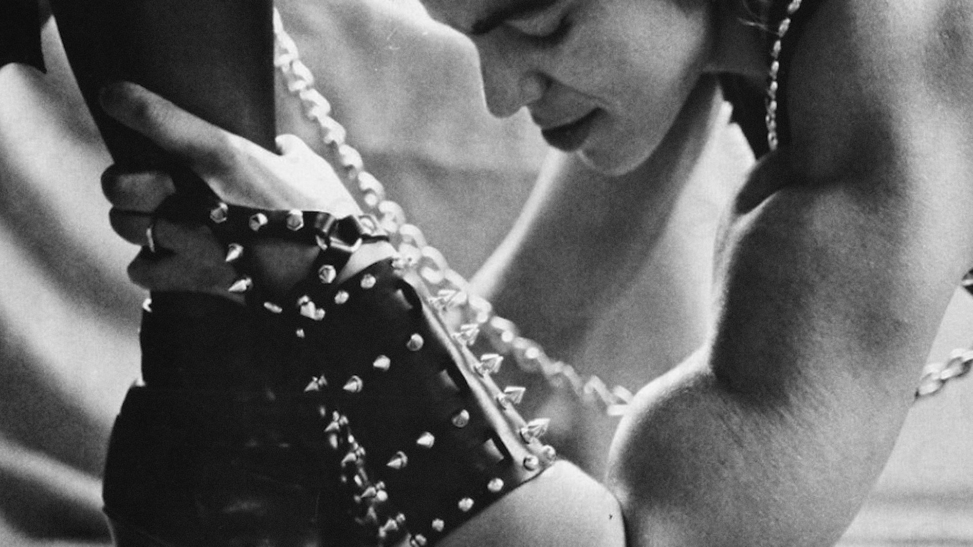 BloodSisters: Leather, Dykes, and Sadomasochism Background