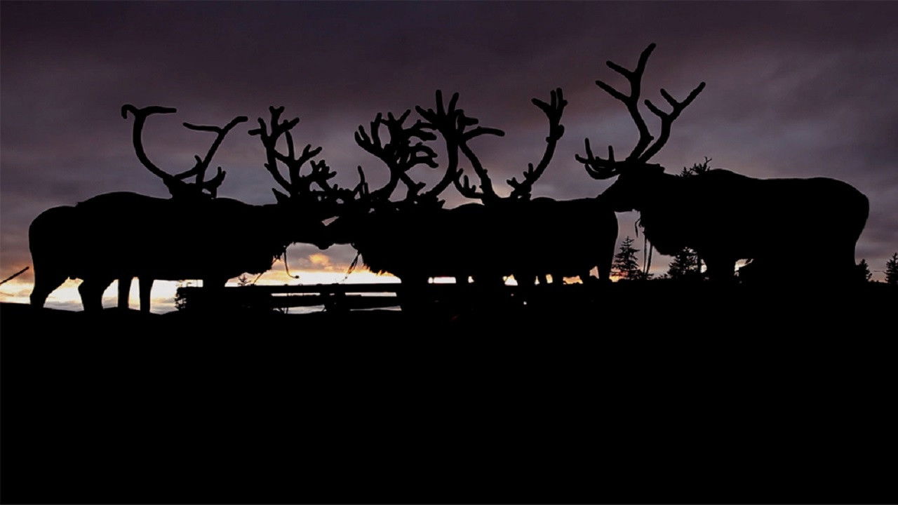 The Breath of the Tundra Background